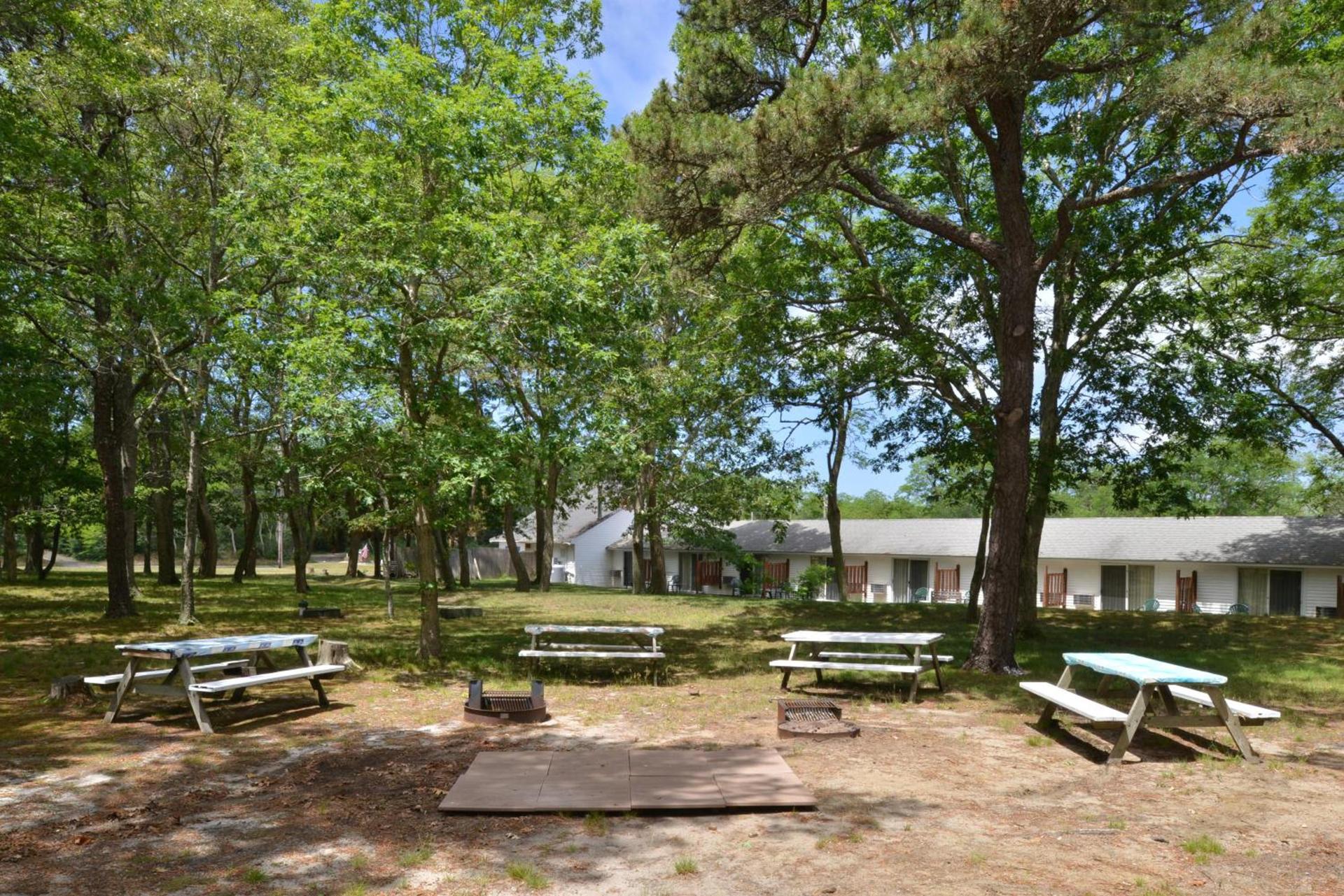 Blue Dolphin Inn photo 16