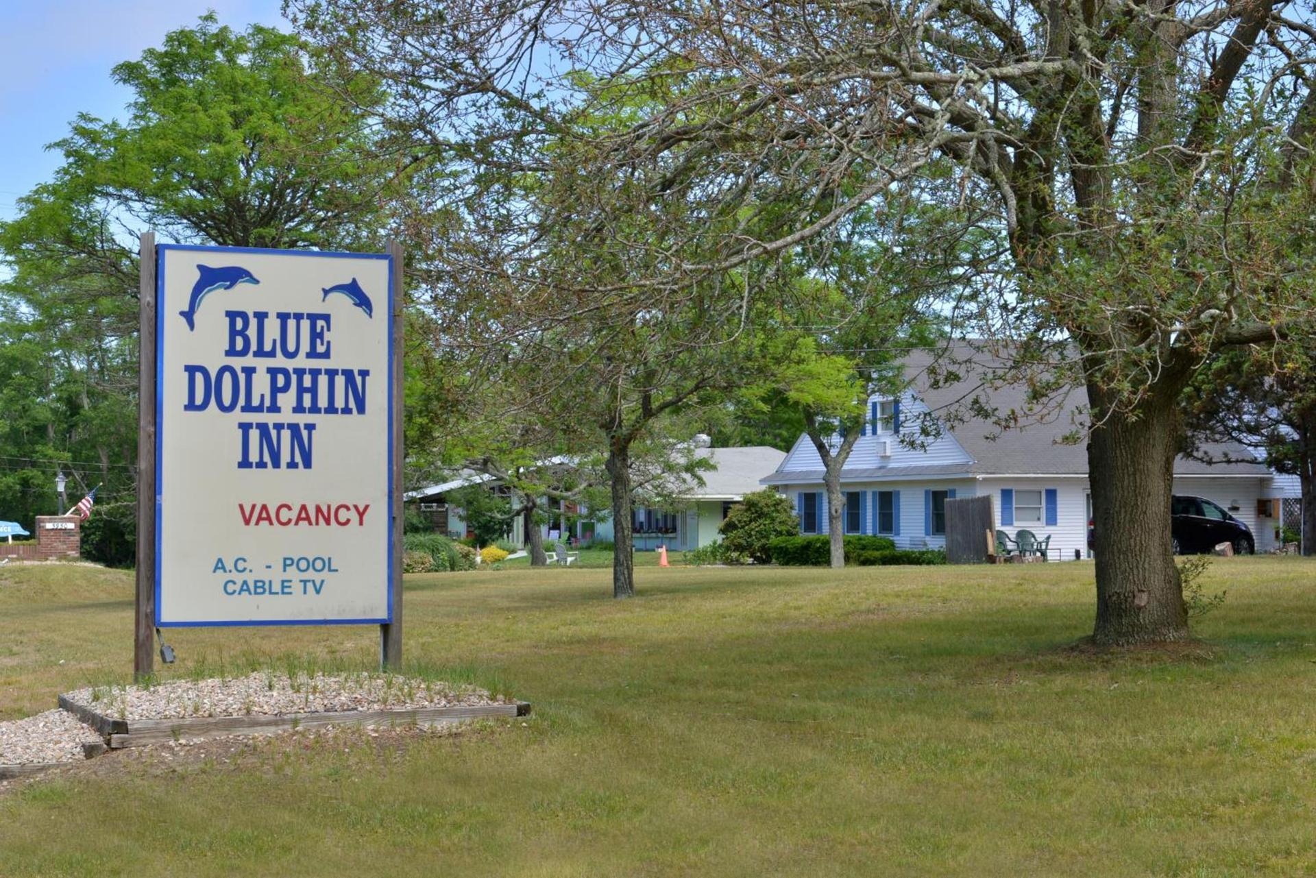 Blue Dolphin Inn photo 12