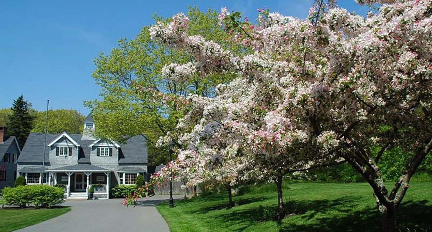 Cape Arundel Inn - Club House photo 1