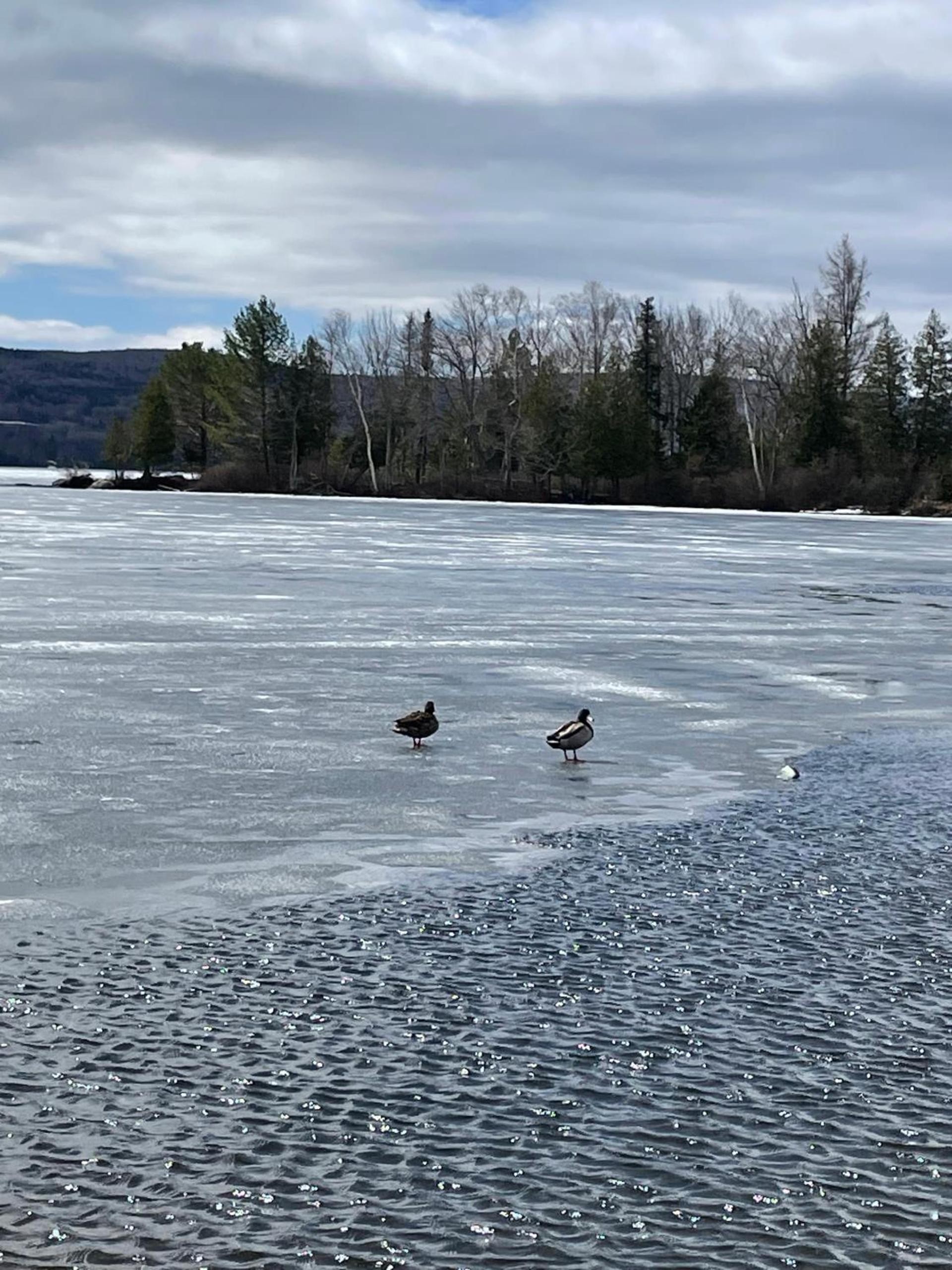 Rangeley Town & Lake photo 44