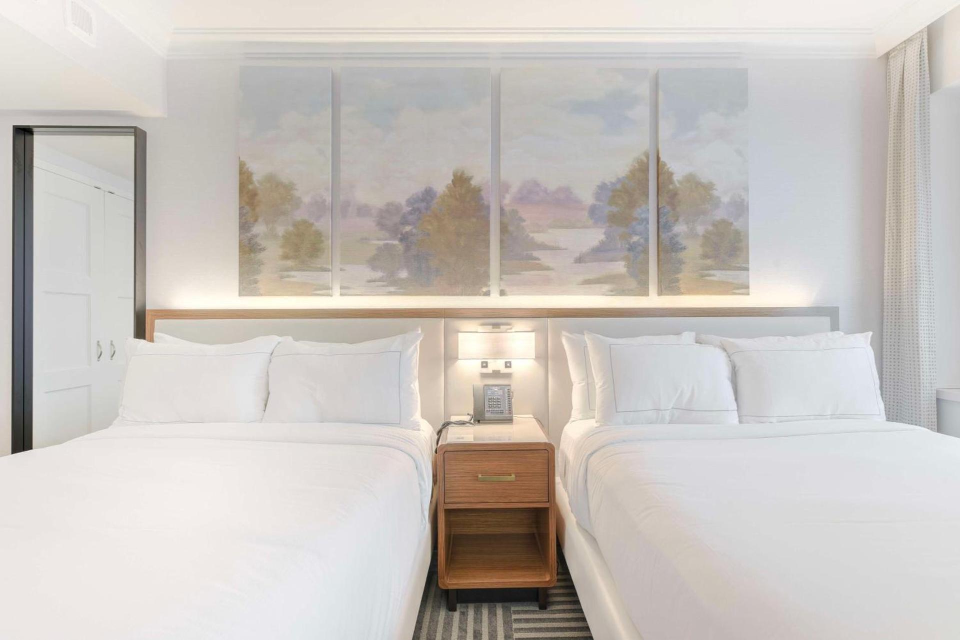 Capital Hilton photo 16