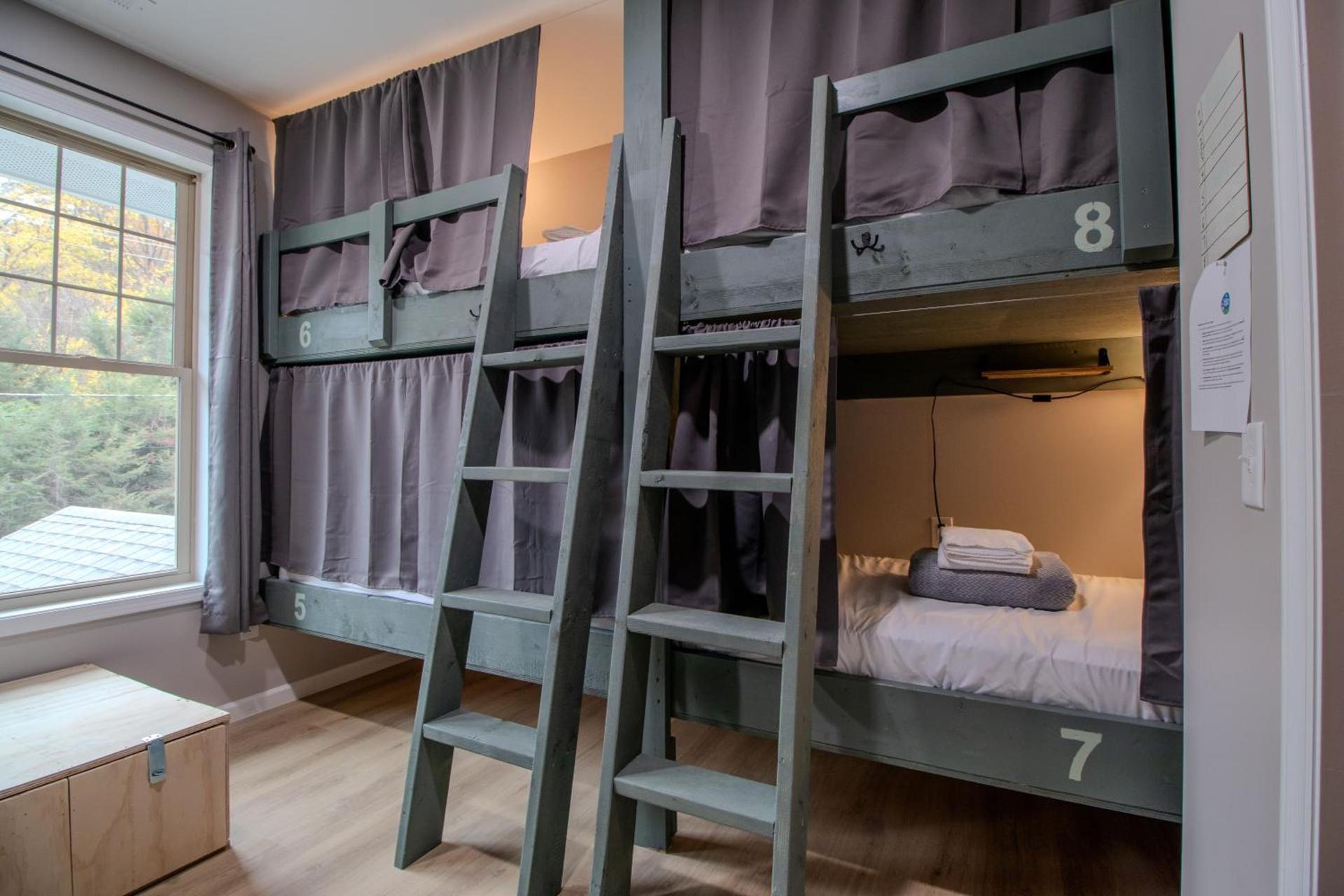 The Lazy Tiger Hostel photo 6