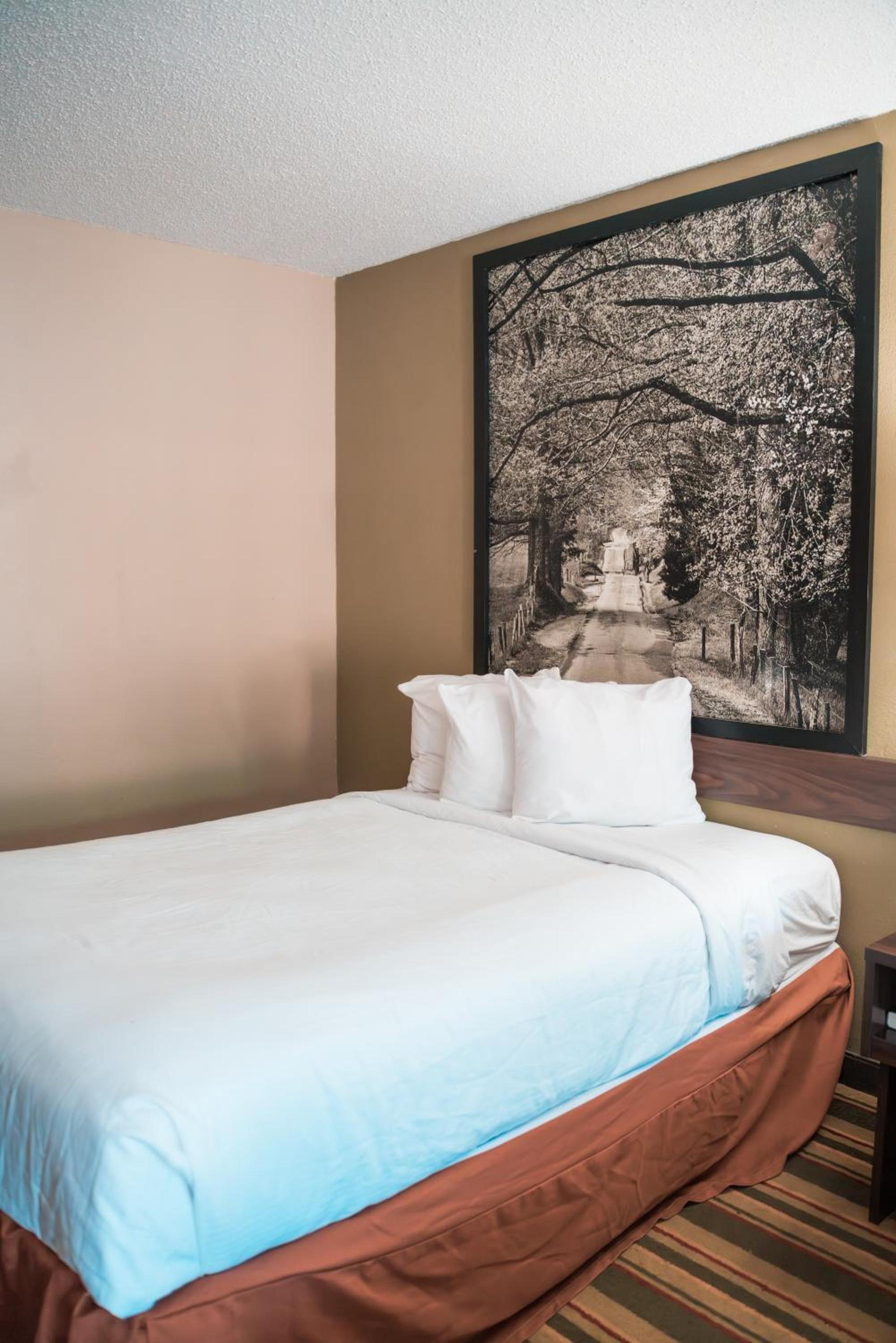 Super 8 by Wyndham Columbia/Ft. Jackson SC photo 17
