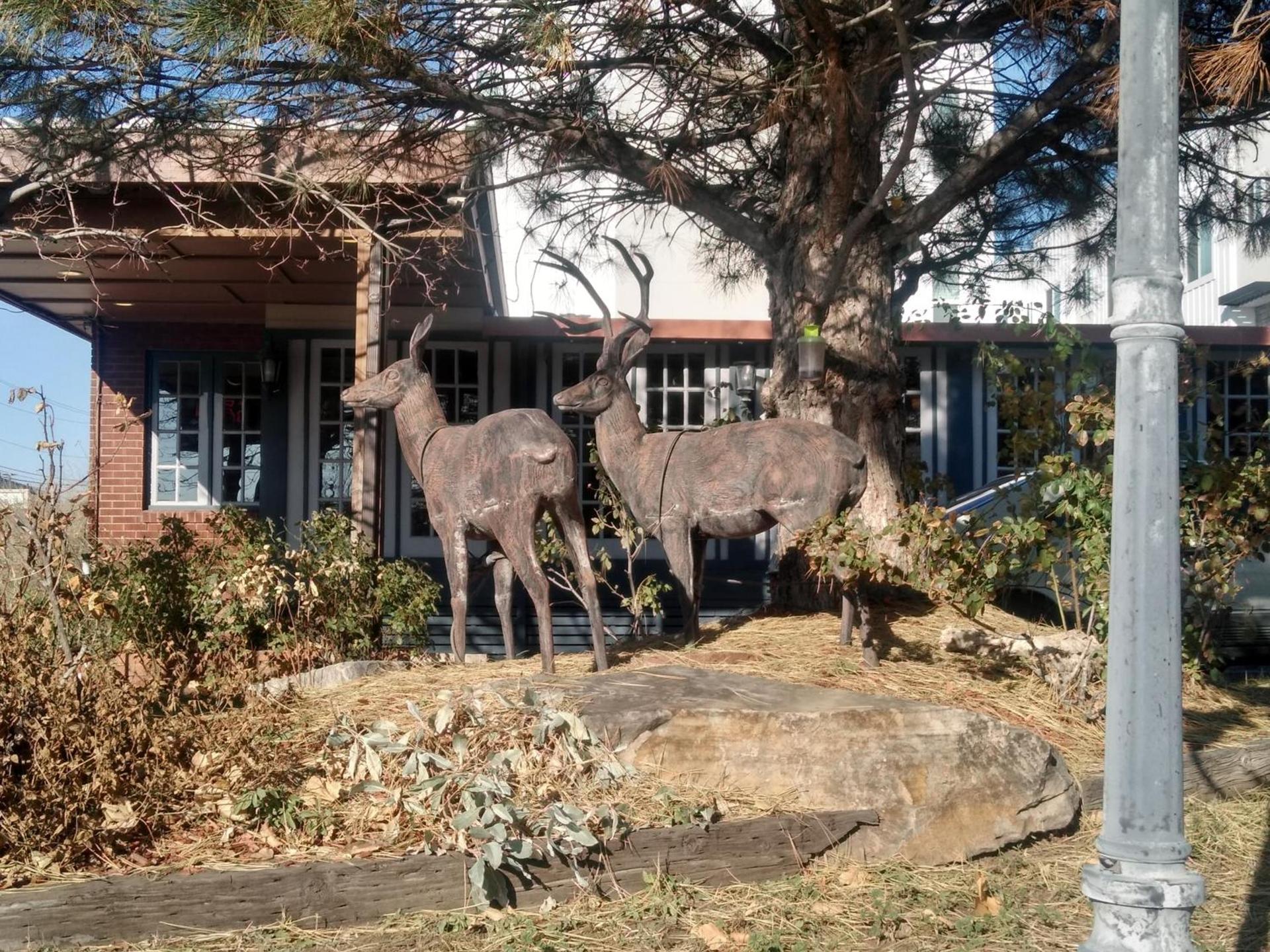 The Charin Inn photo 10
