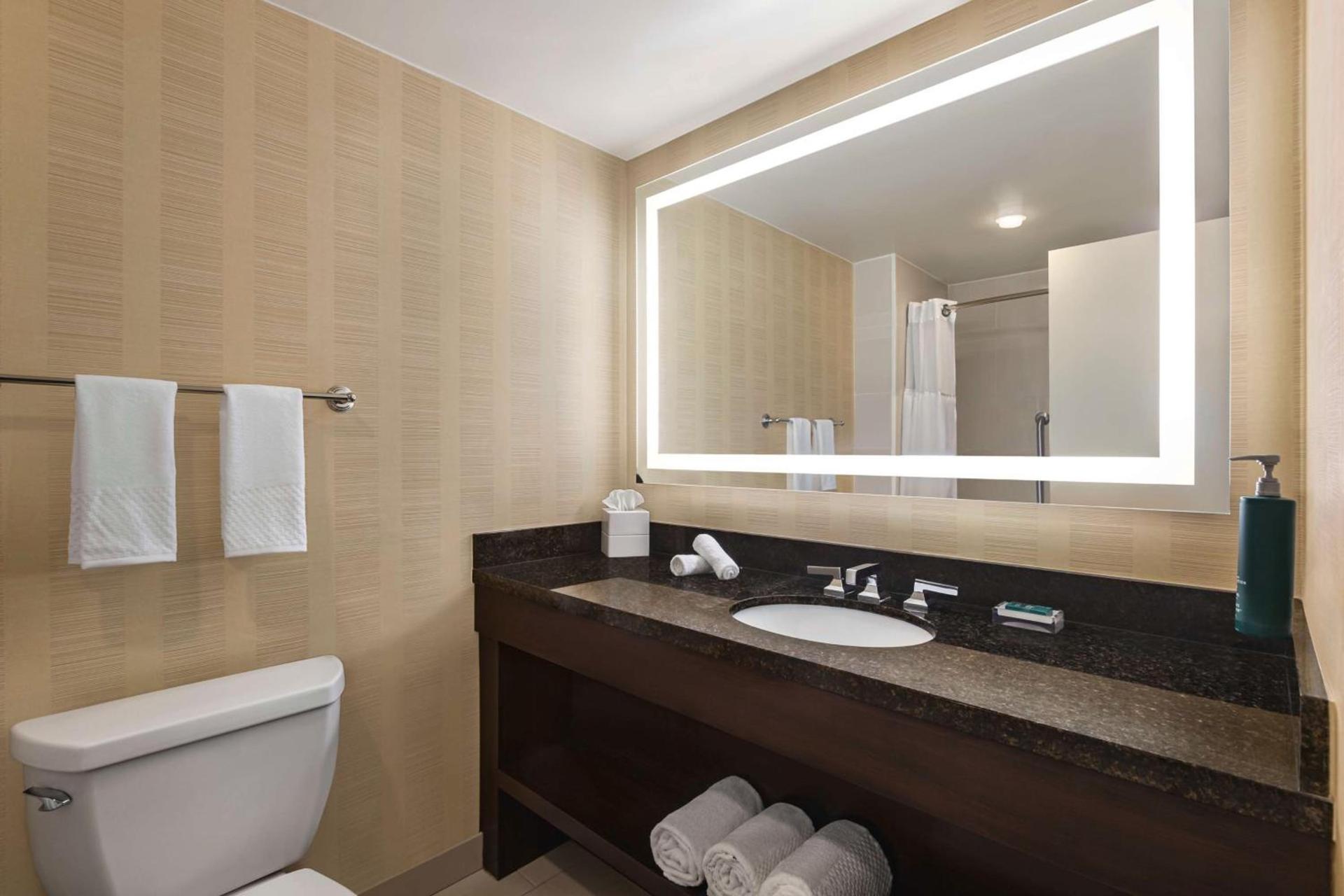 Hilton Tampa Downtown photo 50