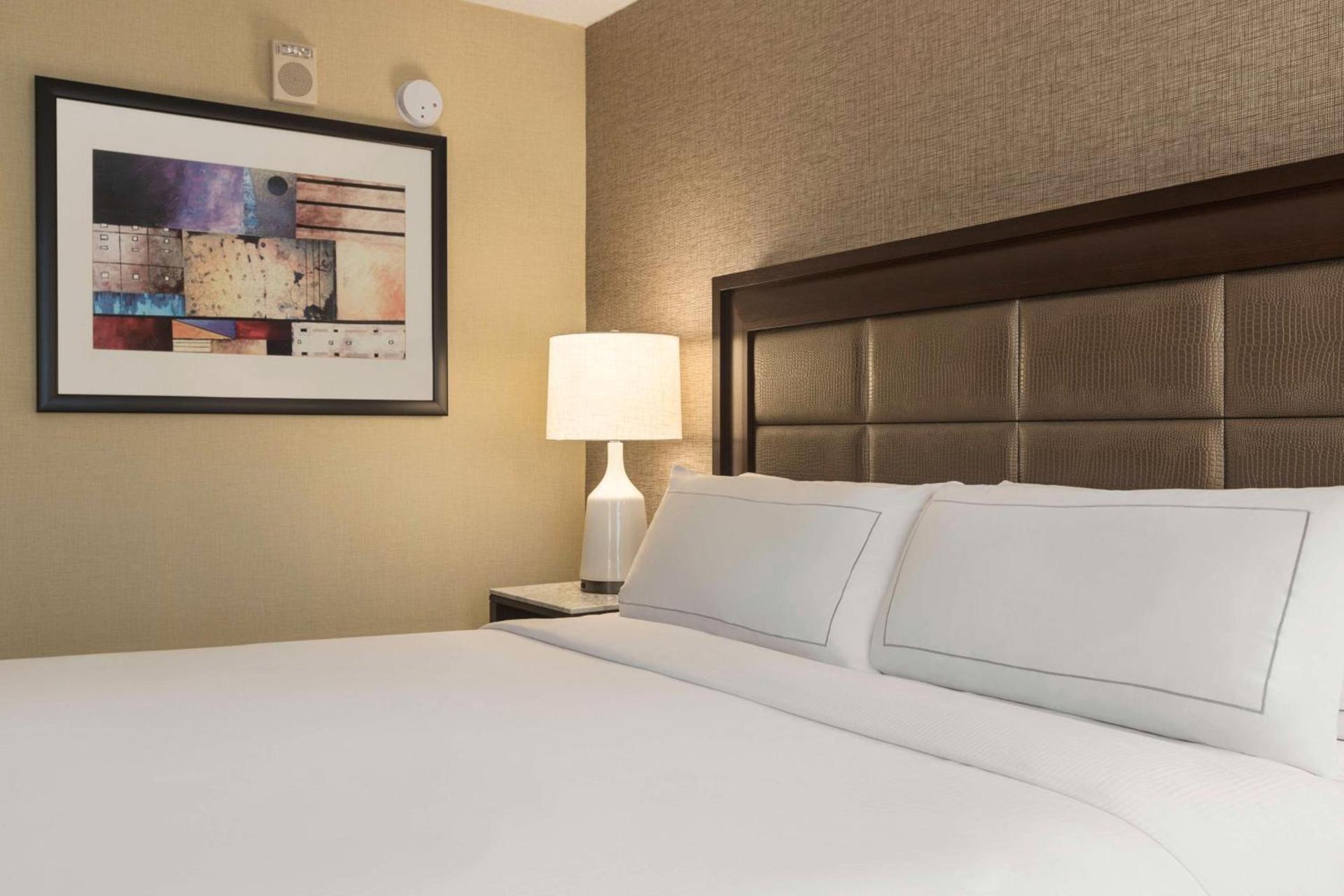 Hilton Tampa Downtown photo 67