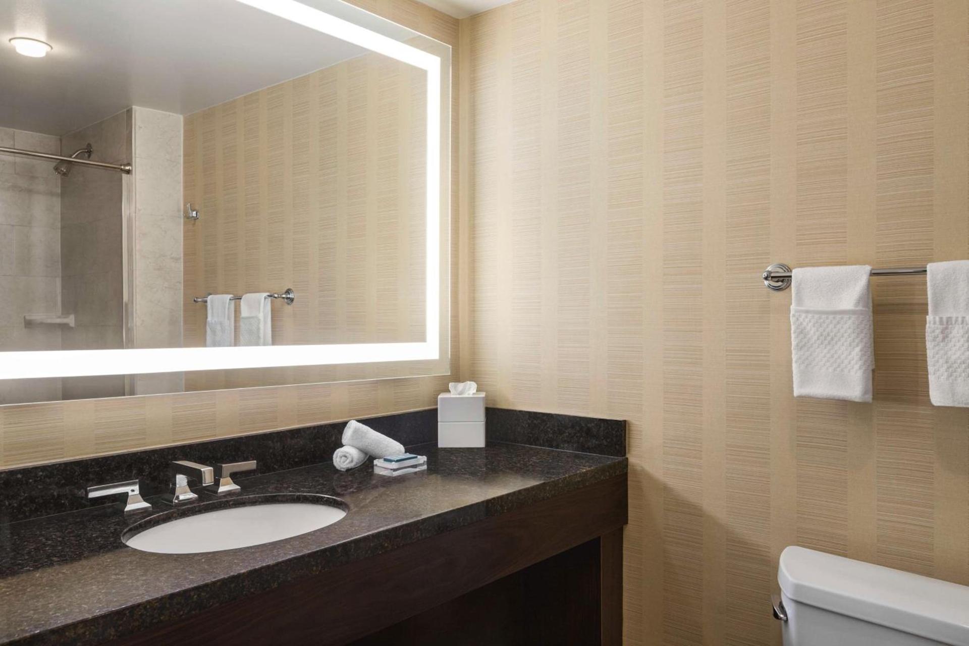 Hilton Tampa Downtown photo 71