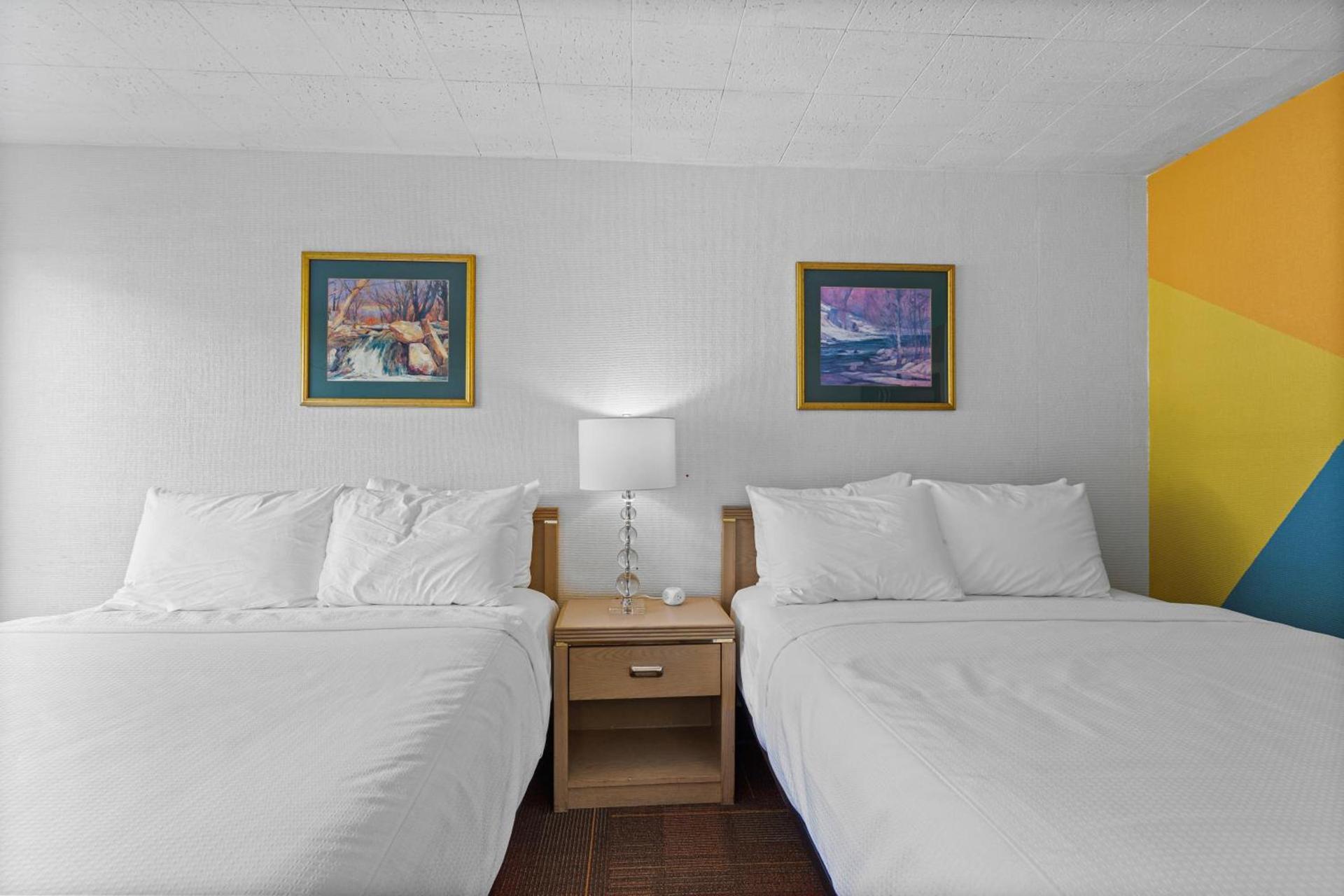 Stardust Motel Wallace photo 62