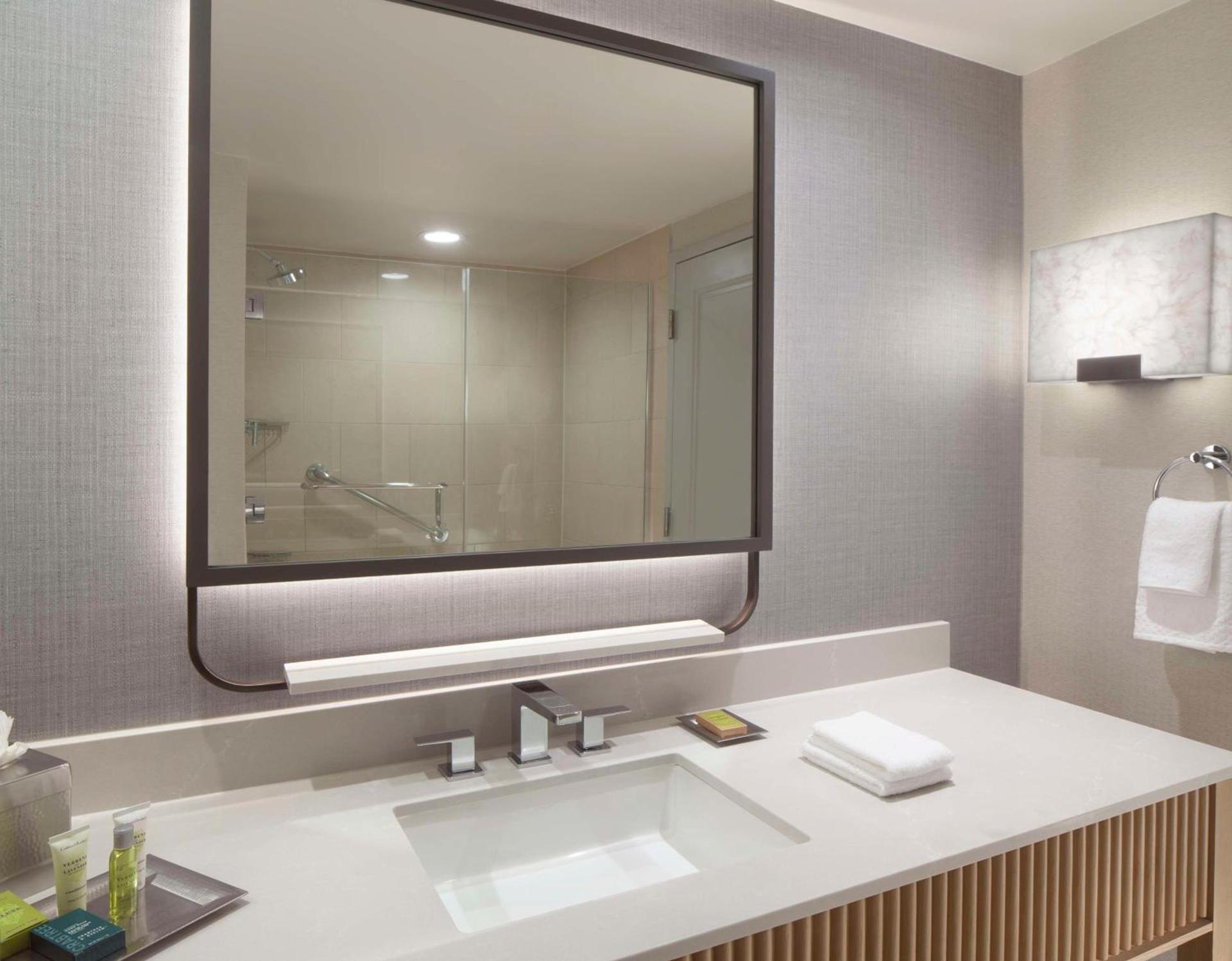 Hilton Anatole photo 82