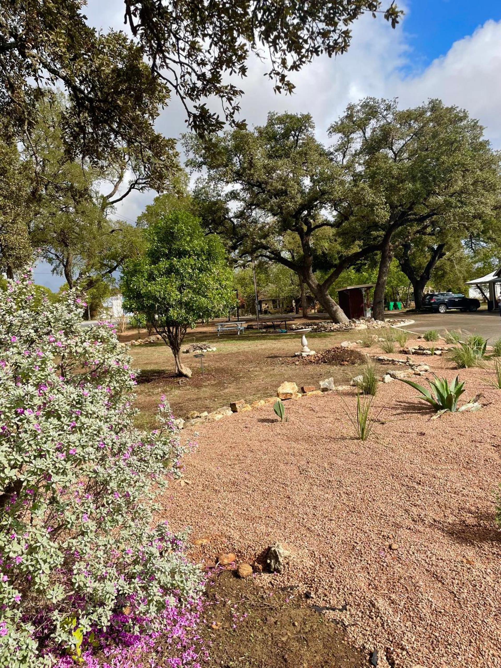 Blanco County Inn & Guesthouses photo 29
