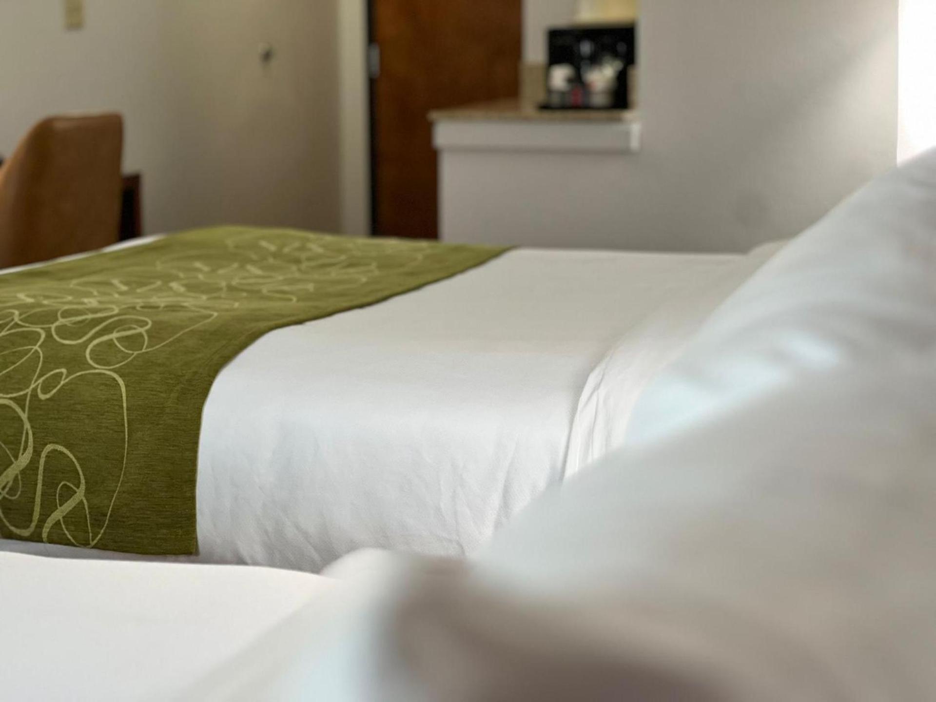 Comfort Suites Louisville East photo 95