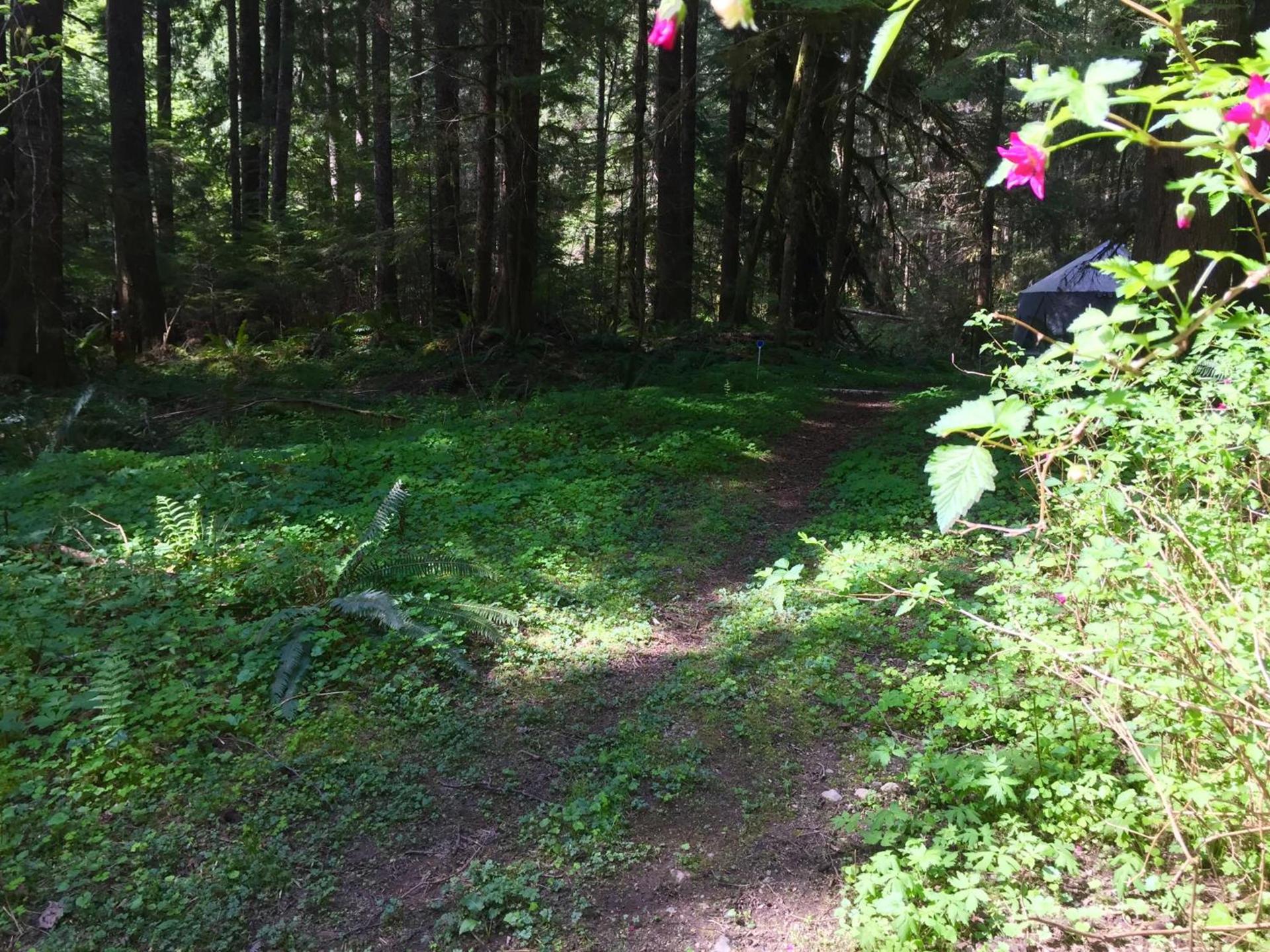 Alexander's Lodge photo 71