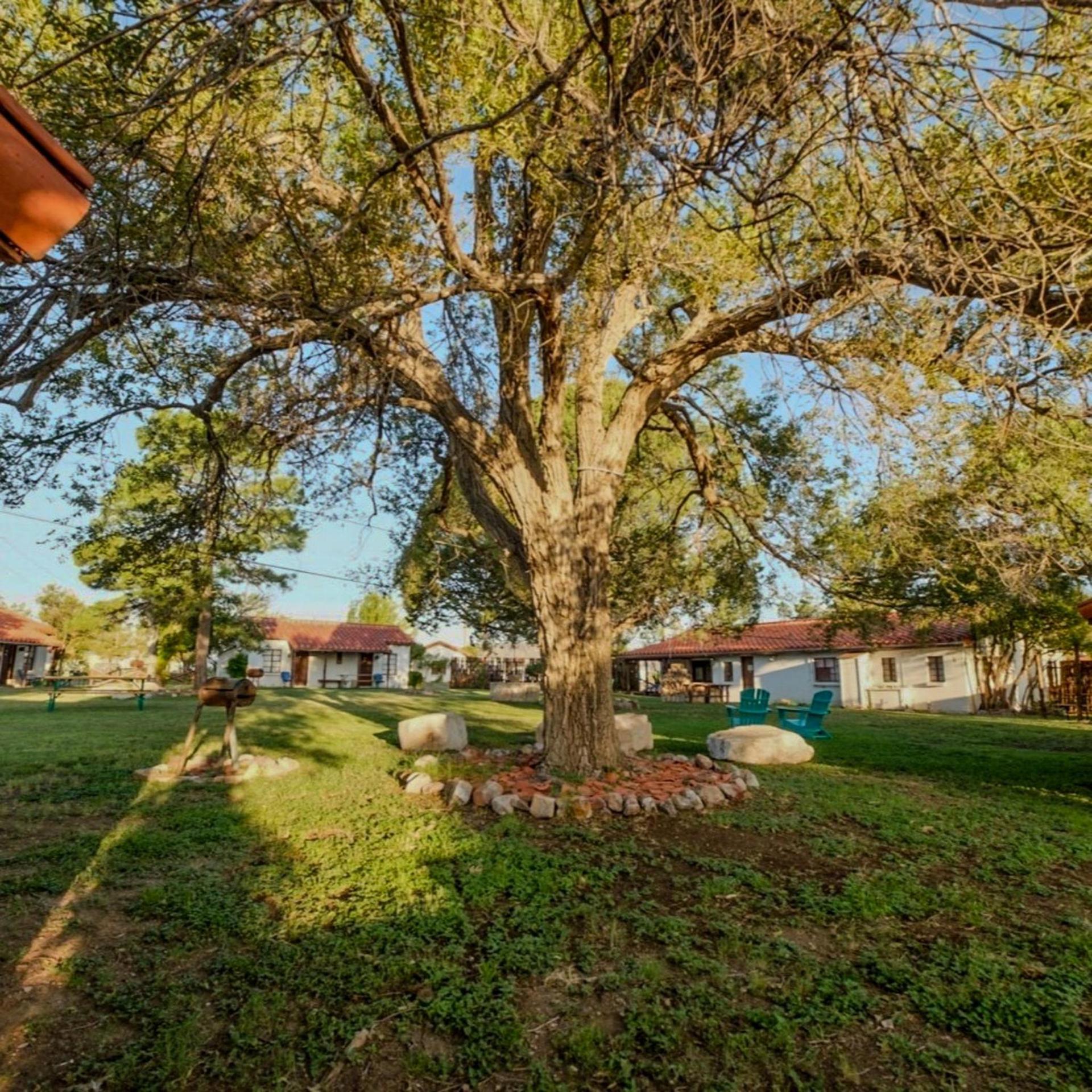 Antelope Lodge photo 17