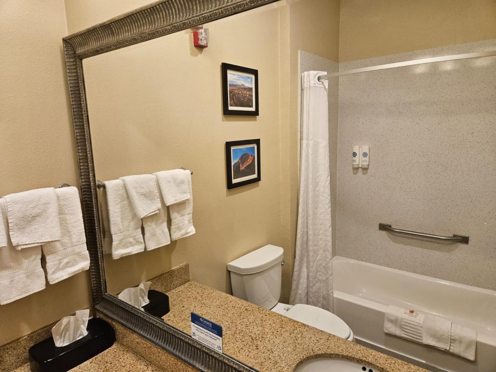 Comfort Inn & Suites Durango photo 13