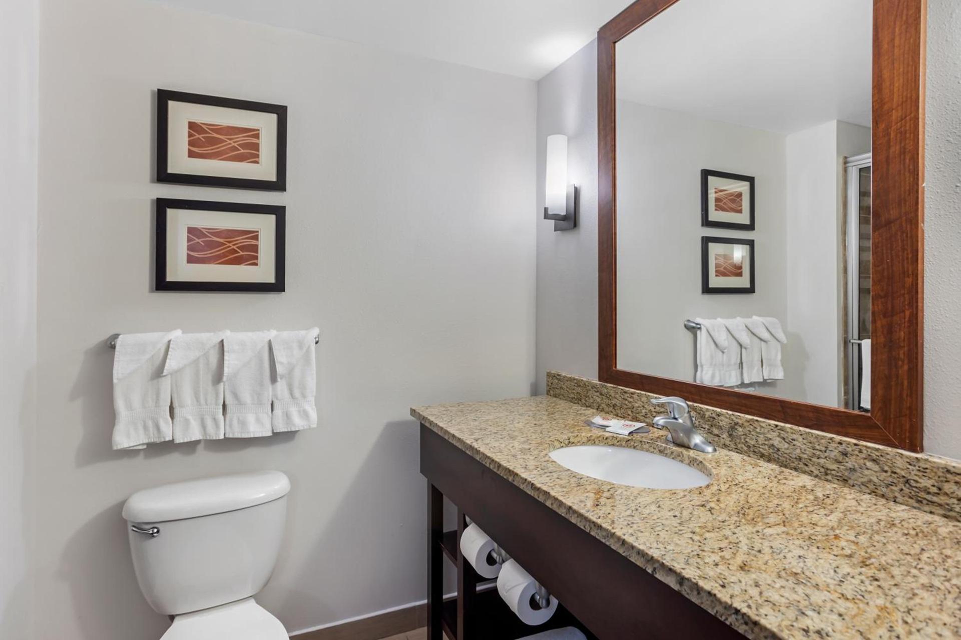 Comfort Inn & Suites Sayre photo 38