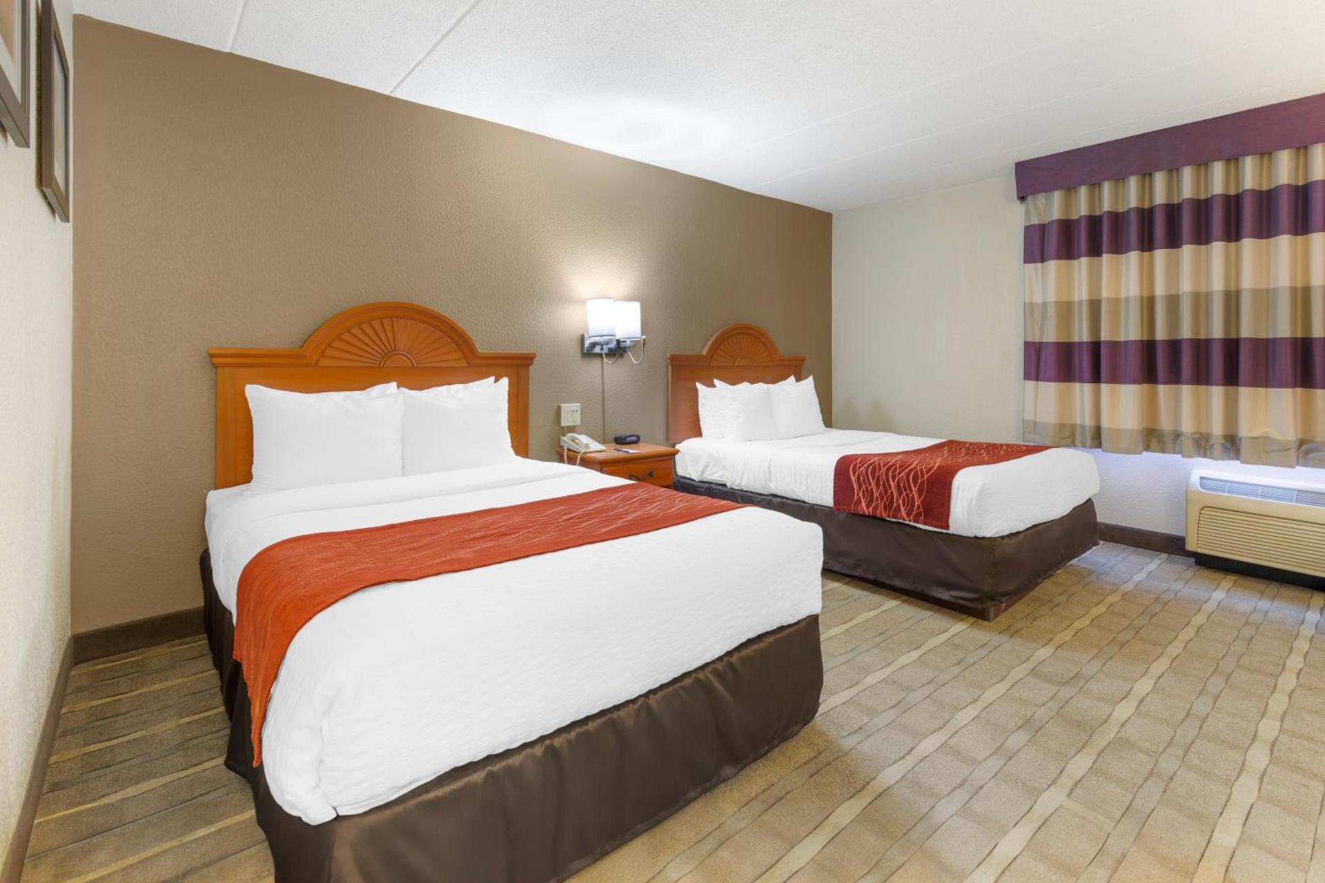 Comfort Inn University Center photo 26