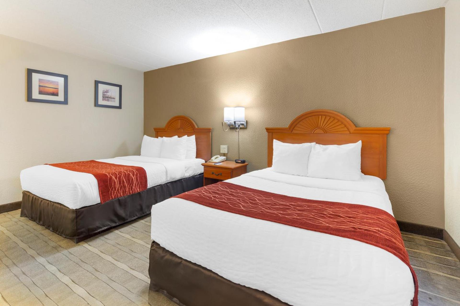 Comfort Inn University Center photo 28