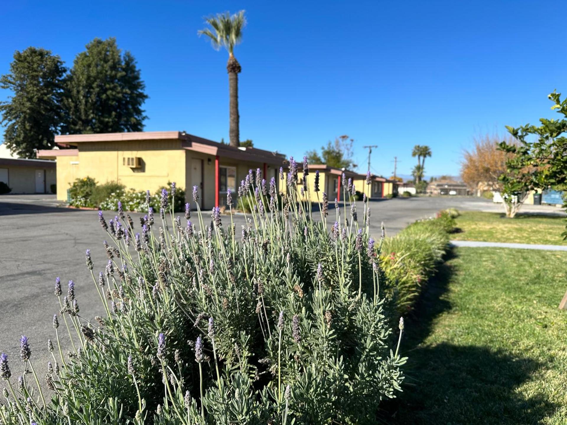 Royal Inn and Suites photo 4