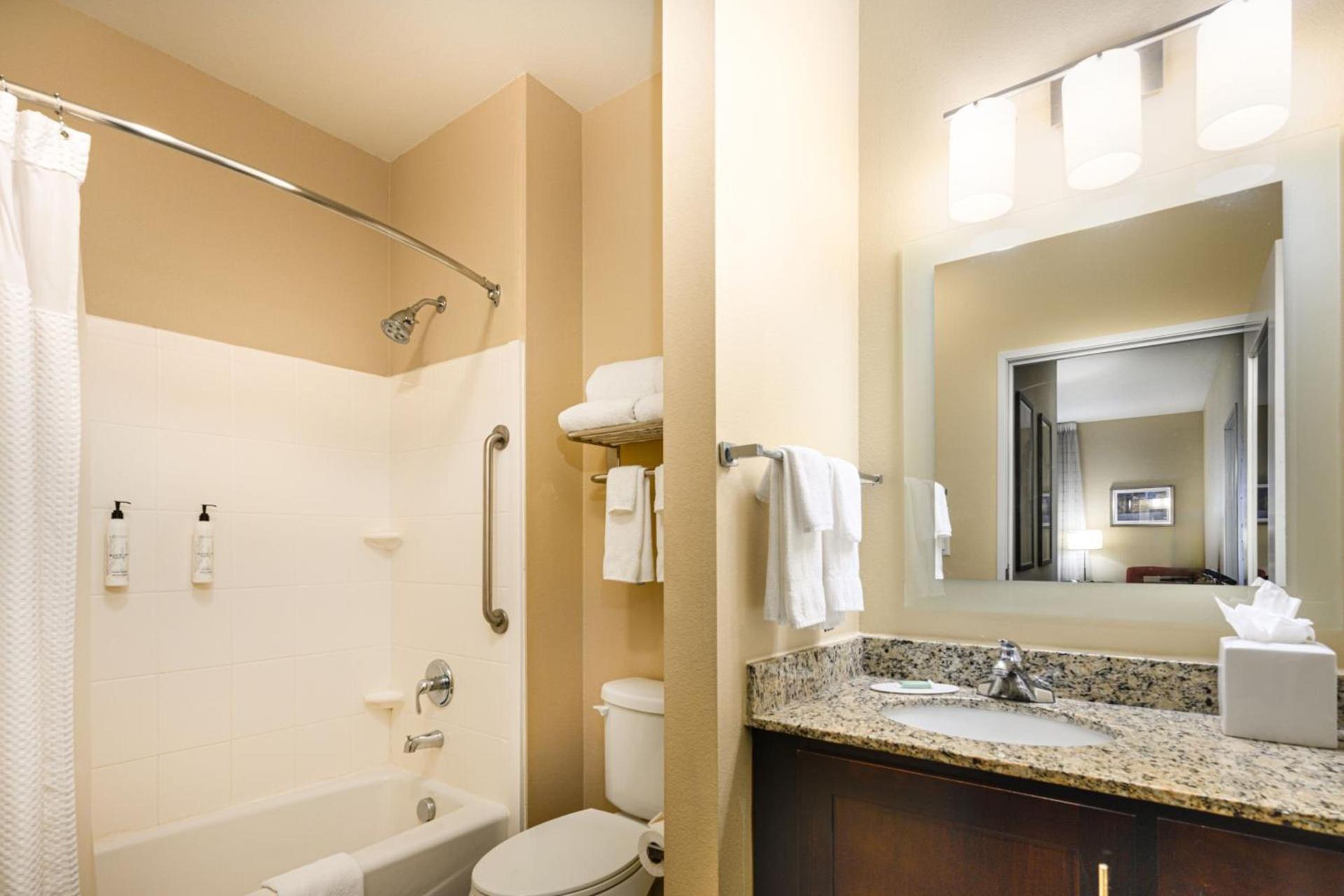 TownePlace Suites by Marriott Houston Galleria Area photo 17