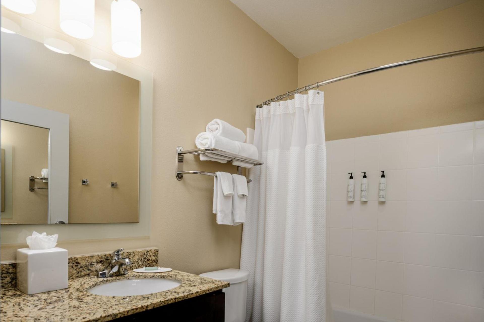 TownePlace Suites by Marriott Houston Galleria Area photo 18