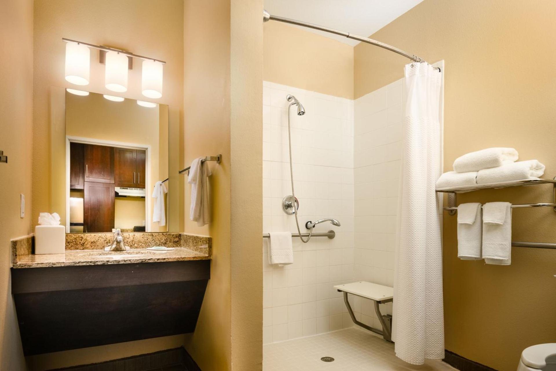 TownePlace Suites by Marriott Houston Galleria Area photo 19