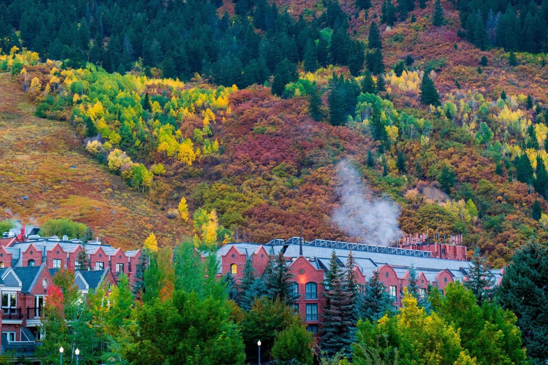 St. Regis Aspen Resort photo 6