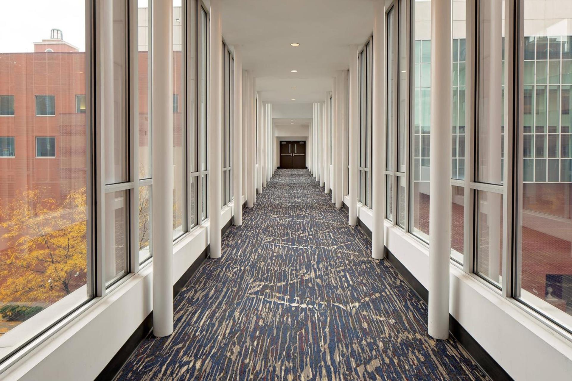 Cincinnati Marriott at RiverCenter photo 43