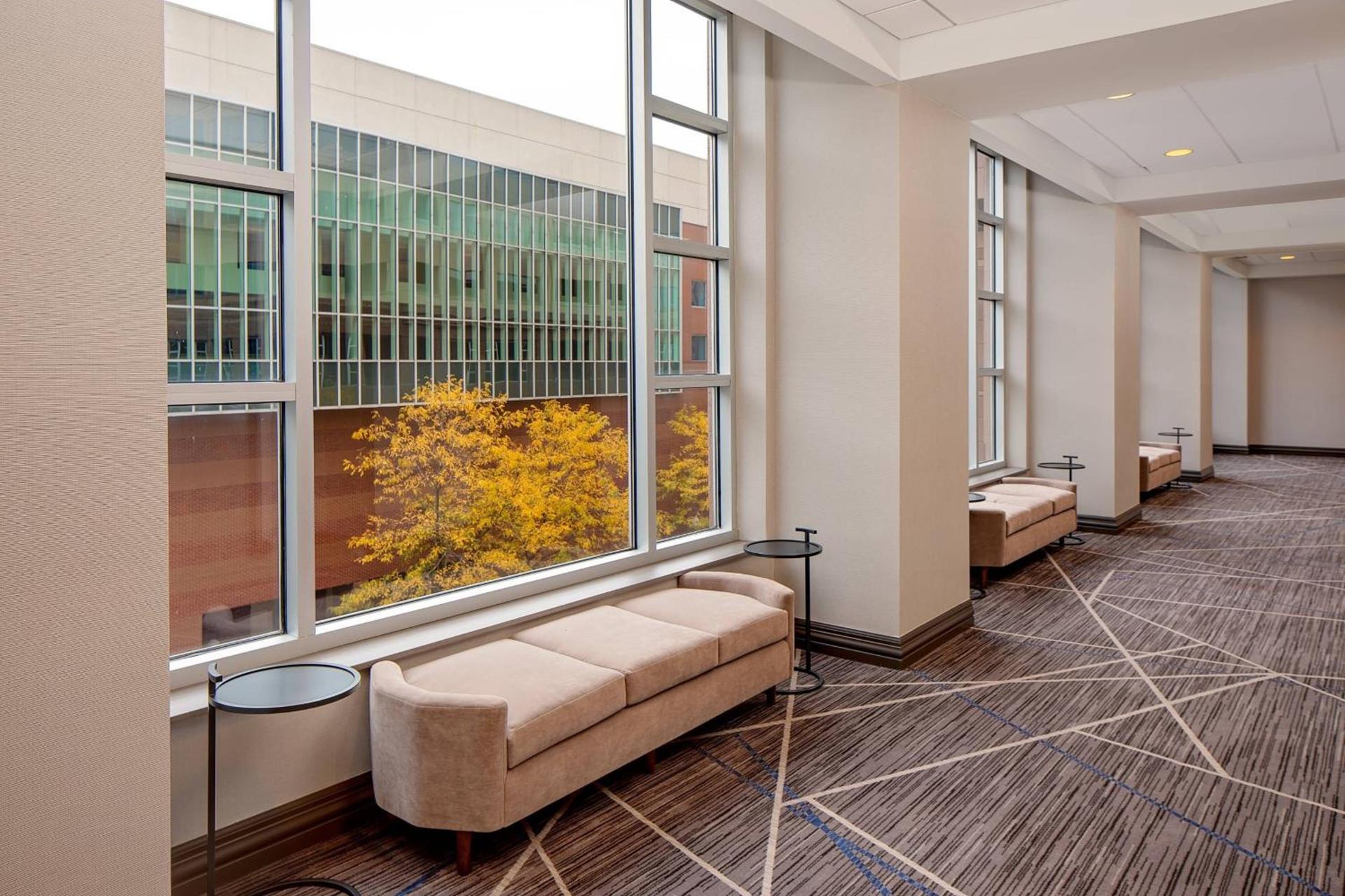 Cincinnati Marriott at RiverCenter photo 46