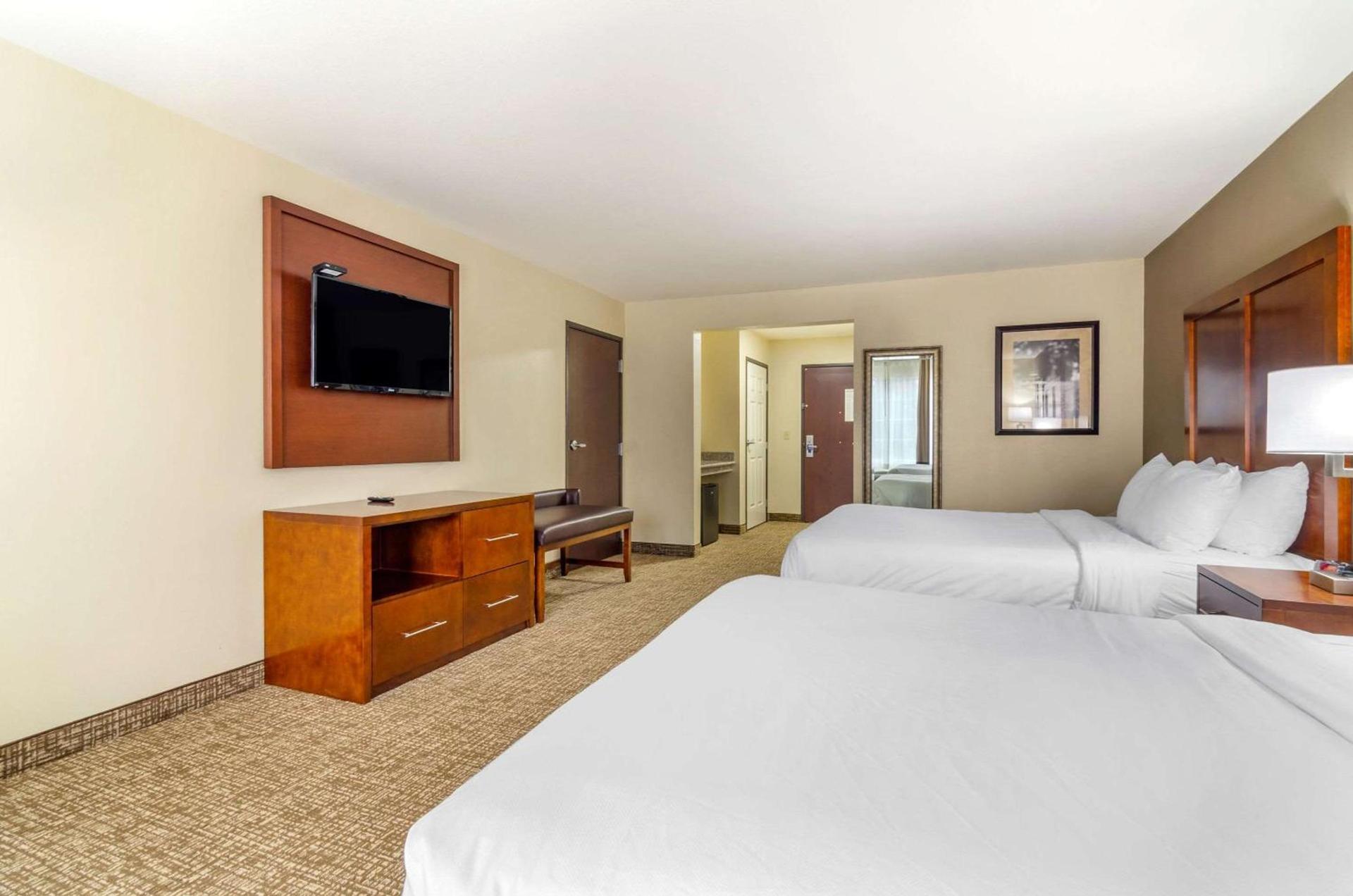 Comfort Inn & Suites near Bethel College photo 8
