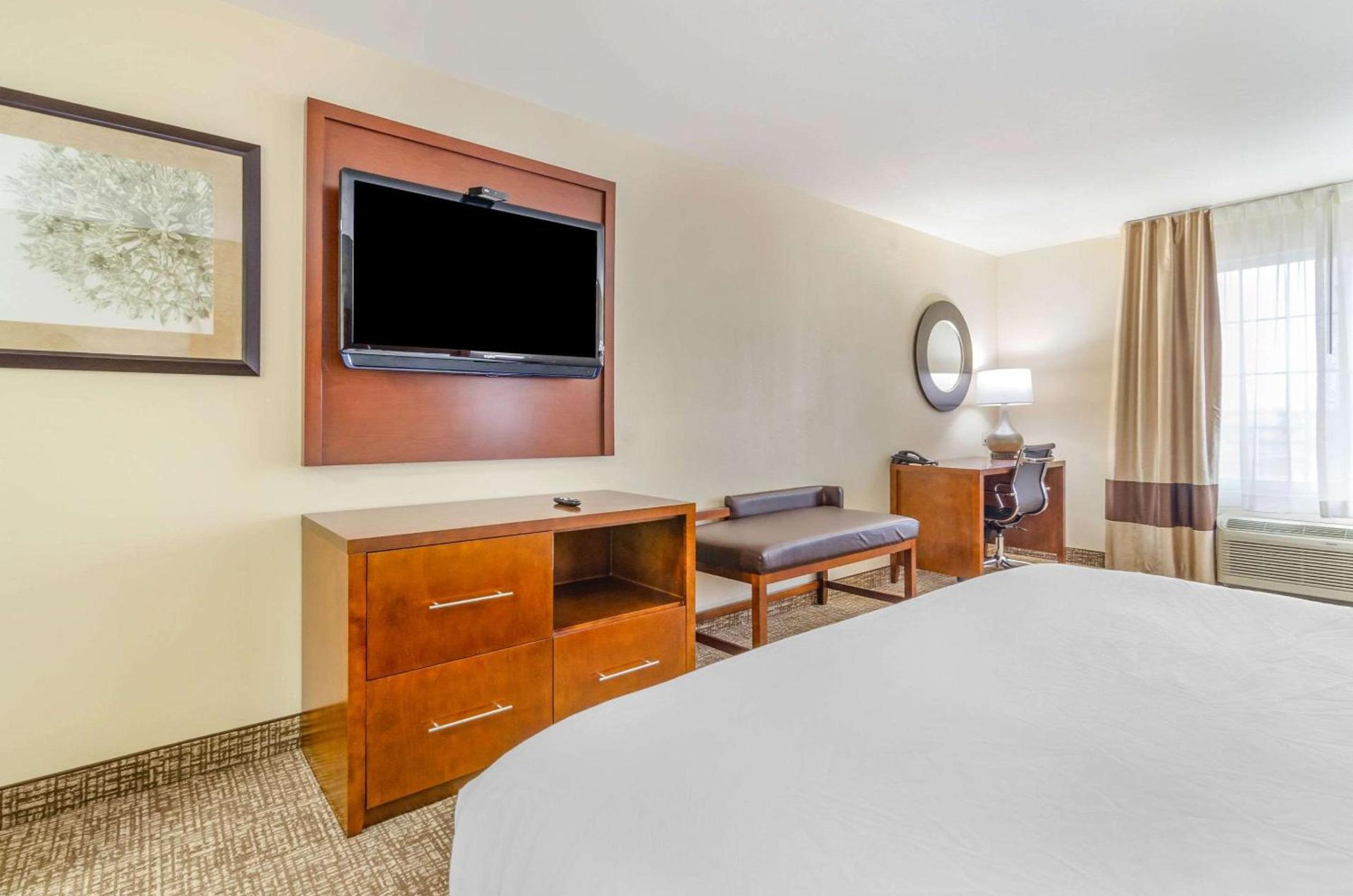 Comfort Inn & Suites near Bethel College photo 12