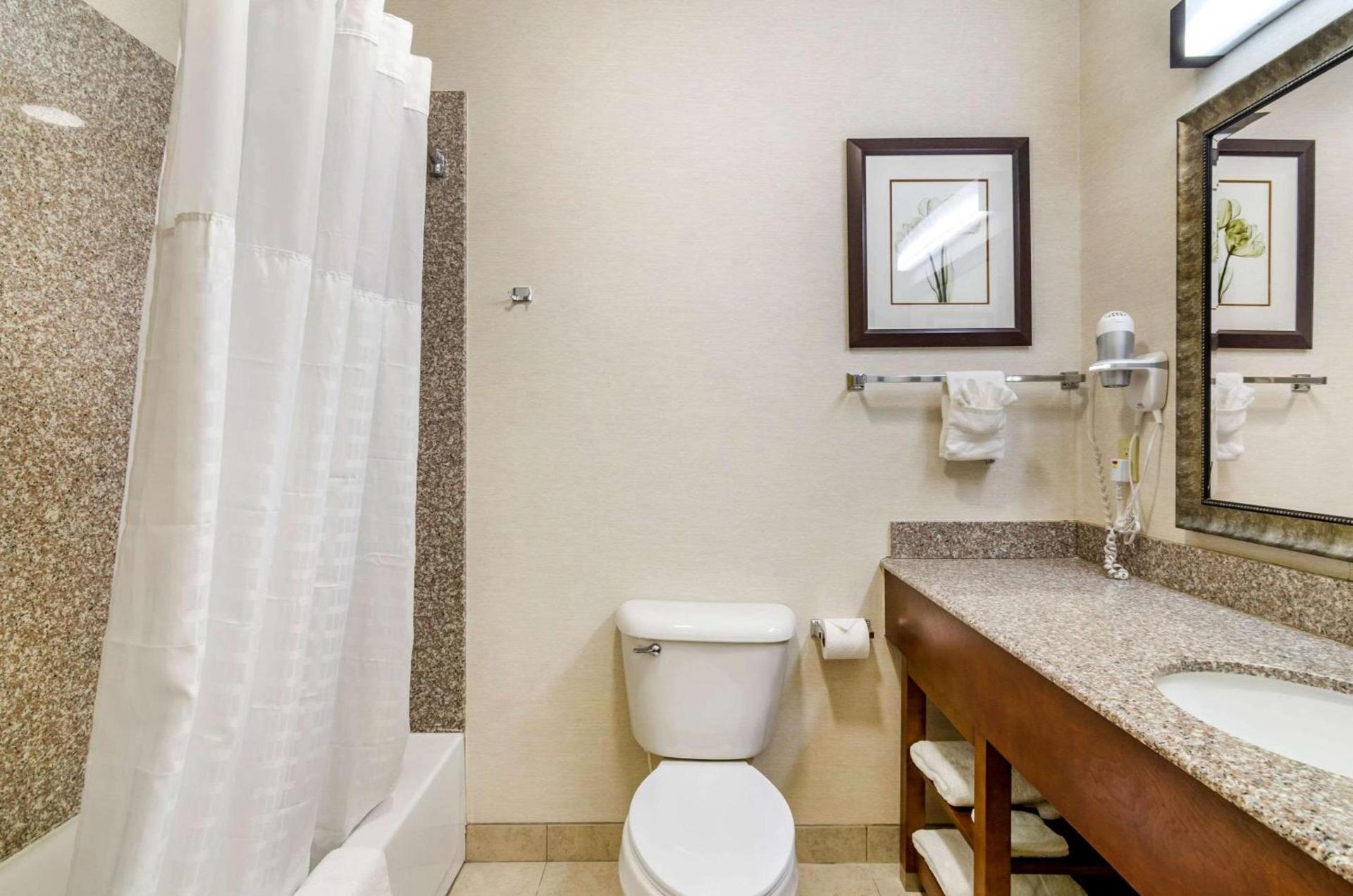 Comfort Inn & Suites near Bethel College photo 20