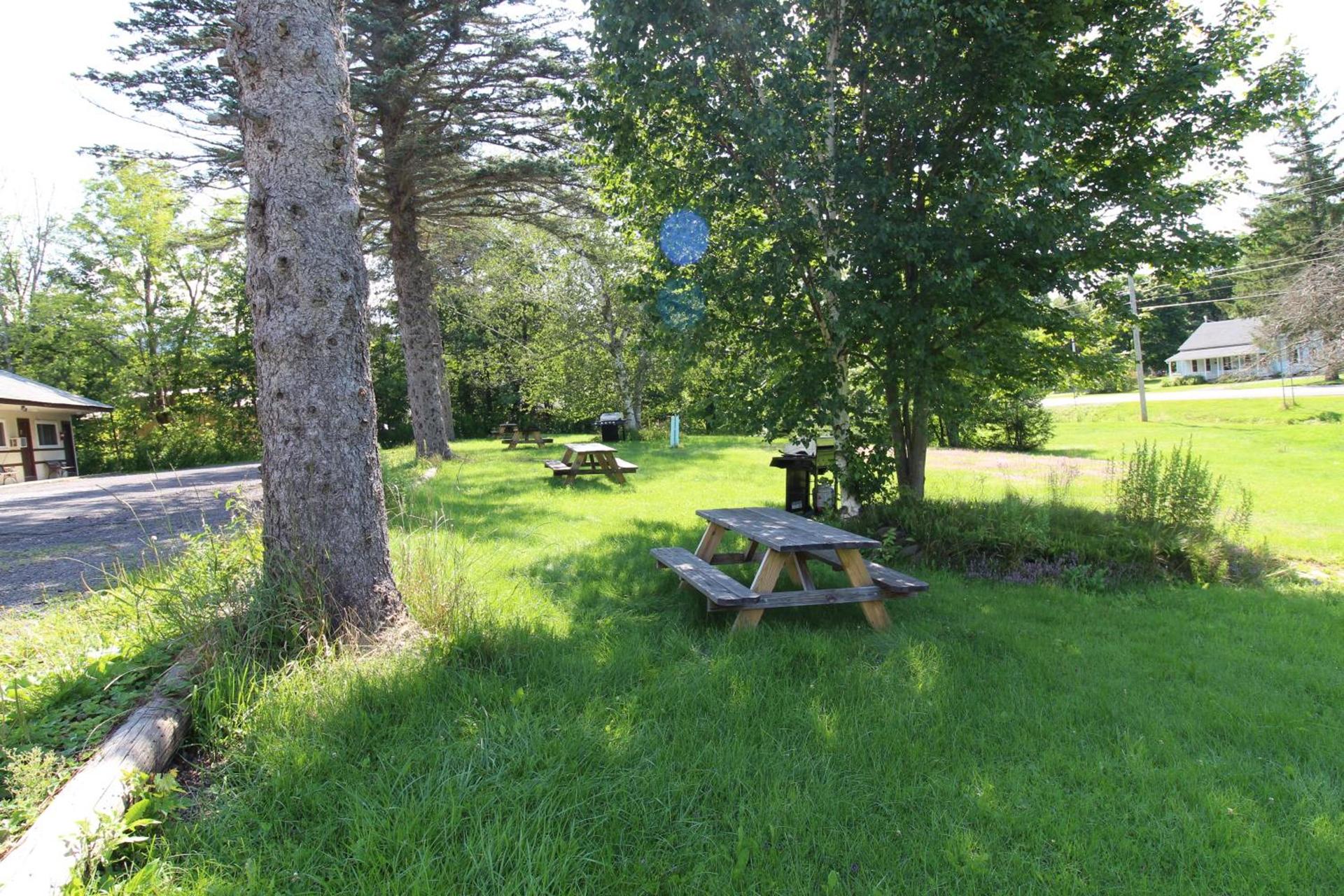 Matterhorns Hunter Lodge photo 13