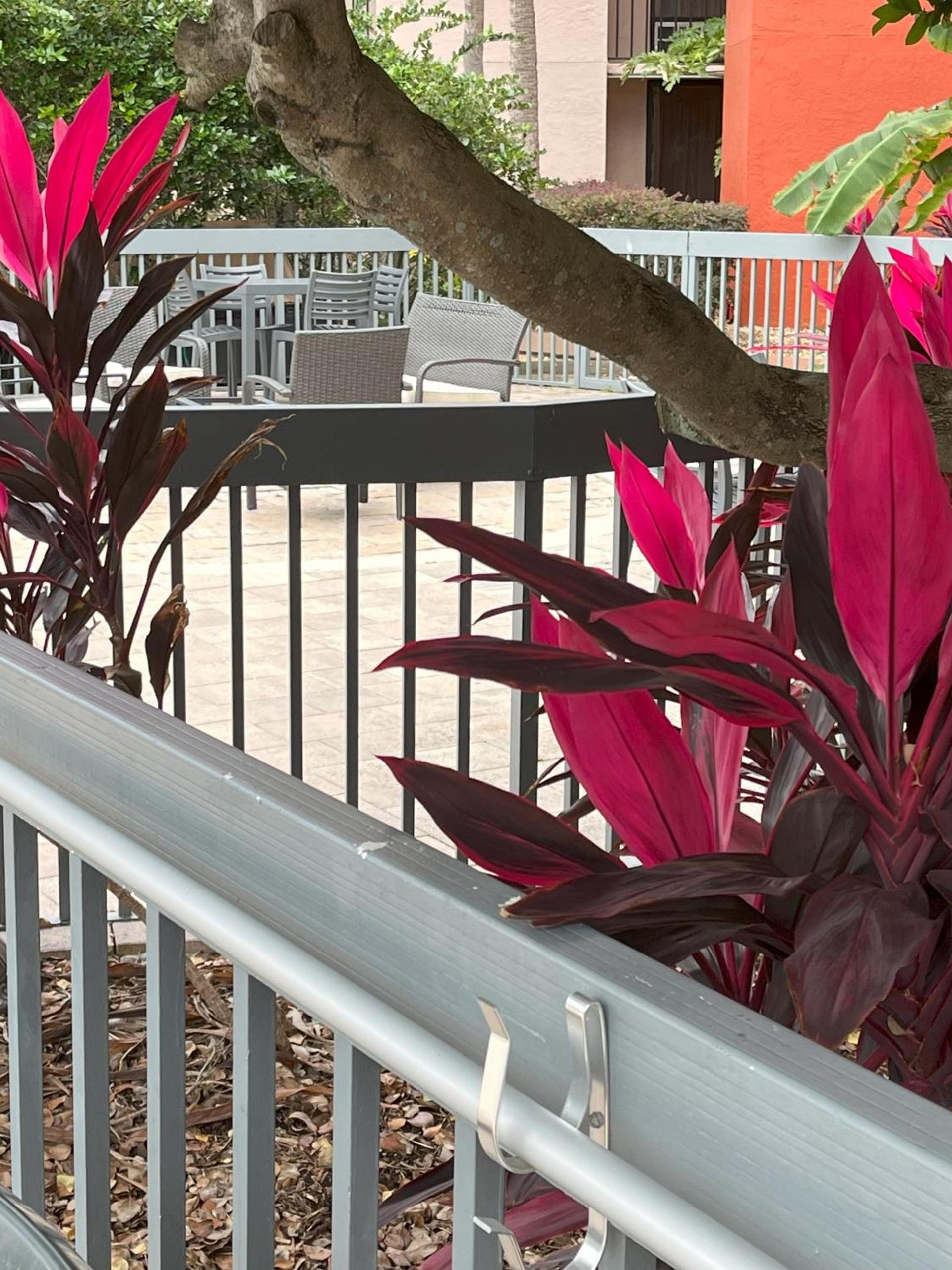 Grand Hotel Orlando at Universal Blvd - Shuttle to Theme Parks photo 19