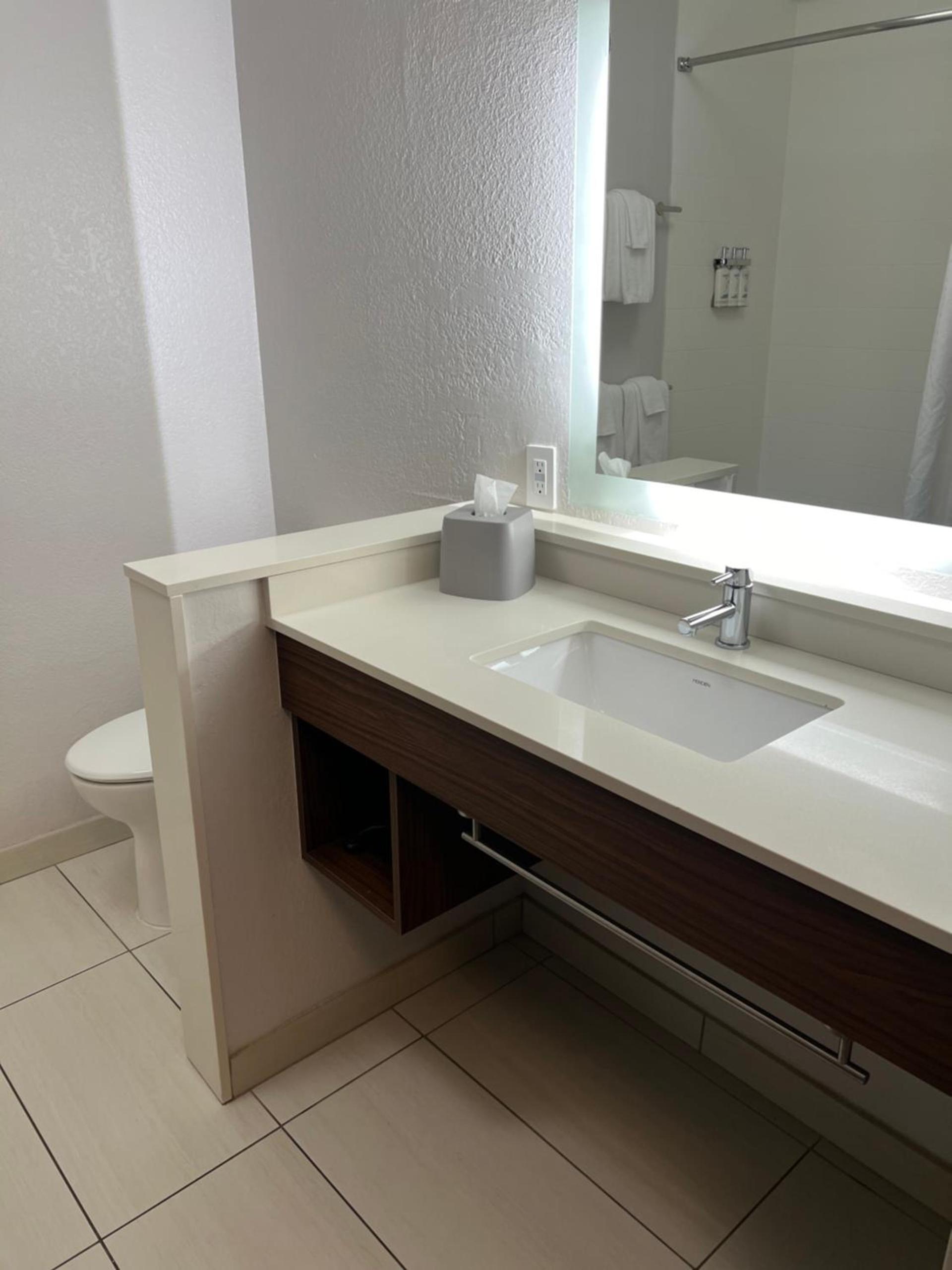 Holiday Inn Express & Suites Mobile - University Area by IHG photo 3