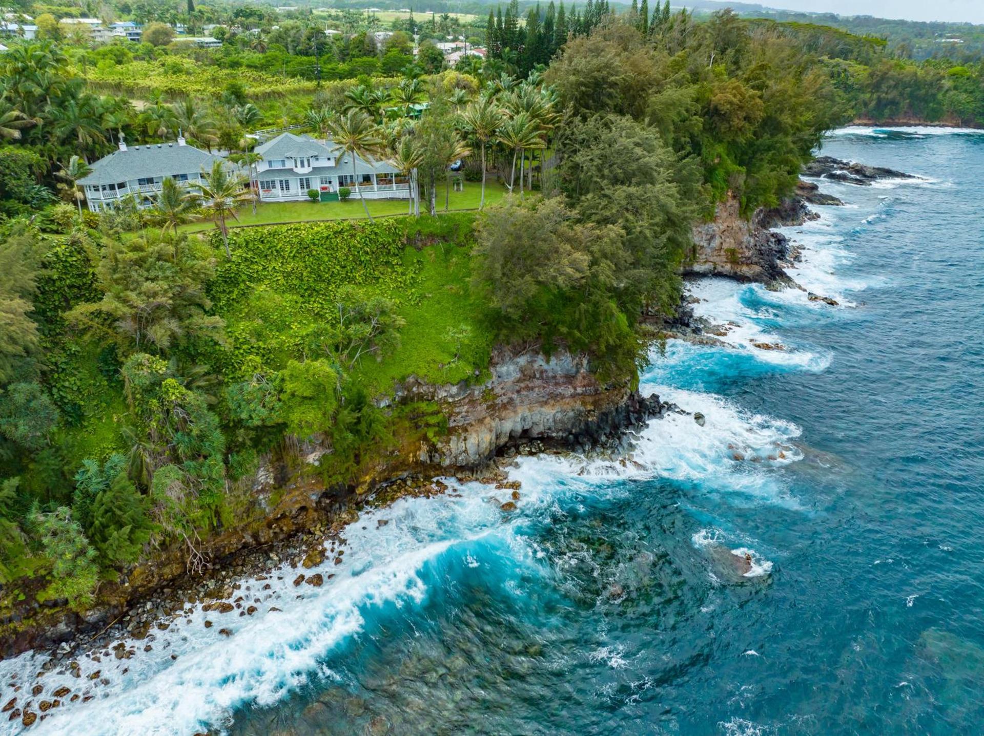 Hamakua Hotel photo 1