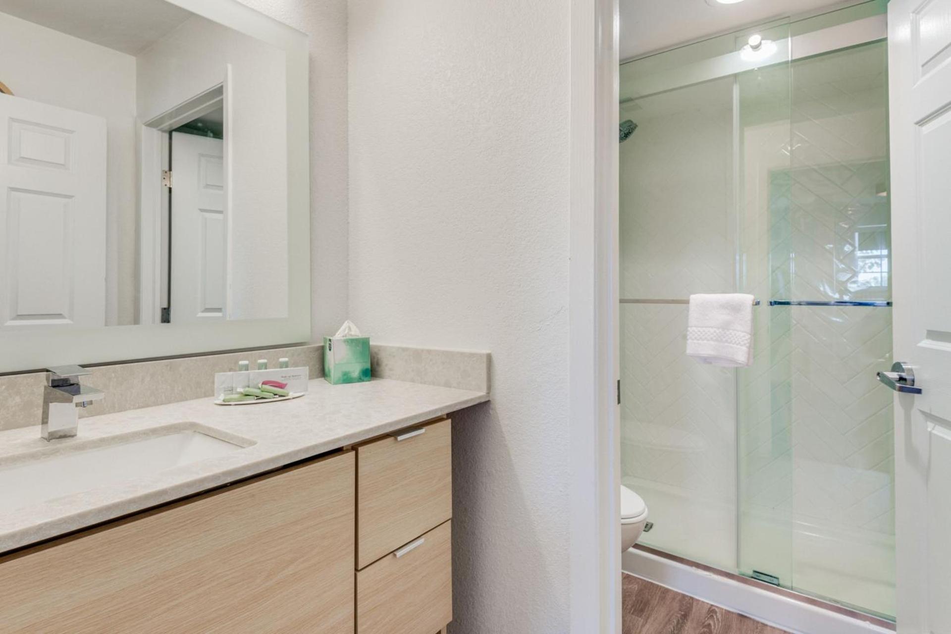TownePlace Suites Dallas Arlington North photo 45