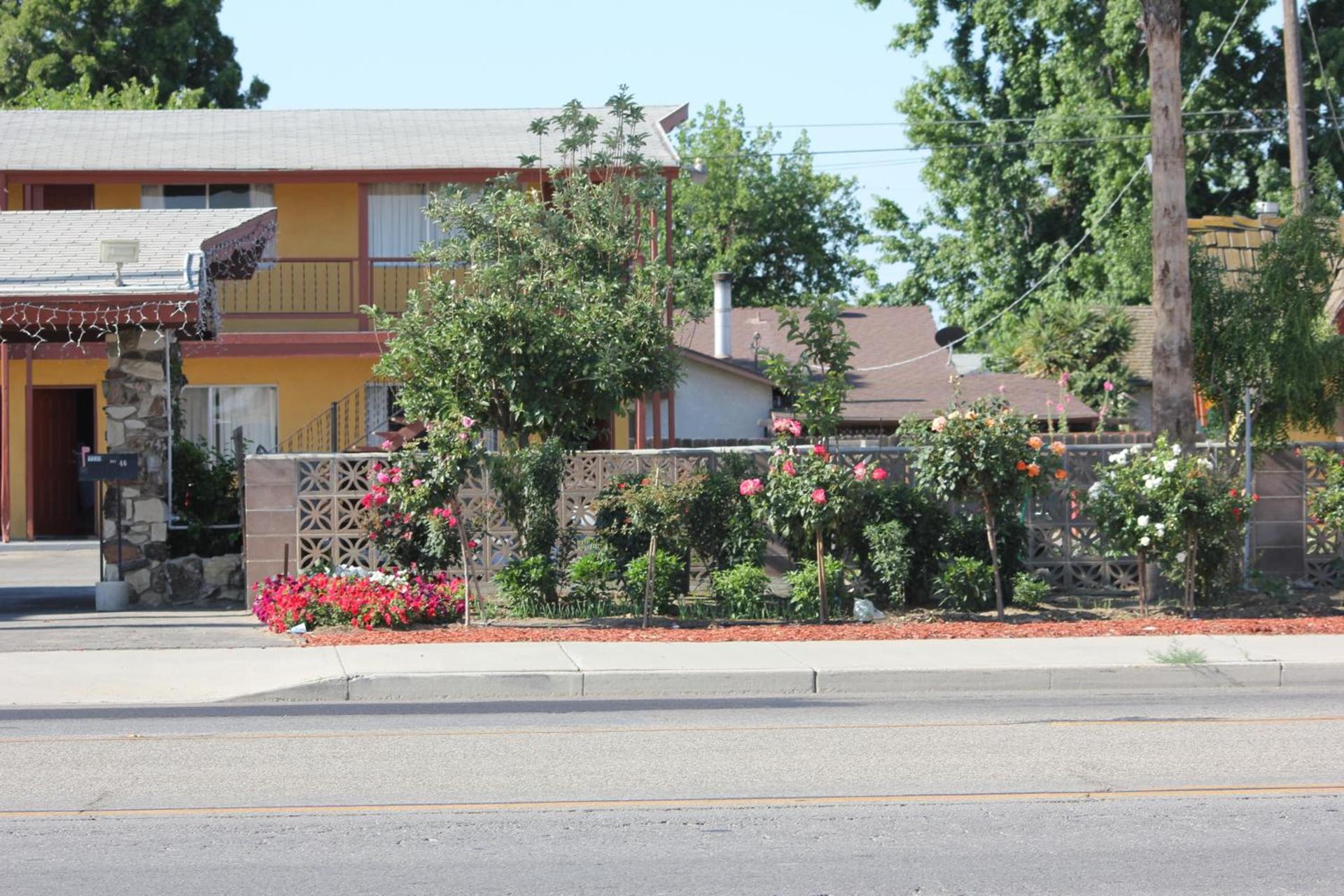 Cinderella Motel photo 8
