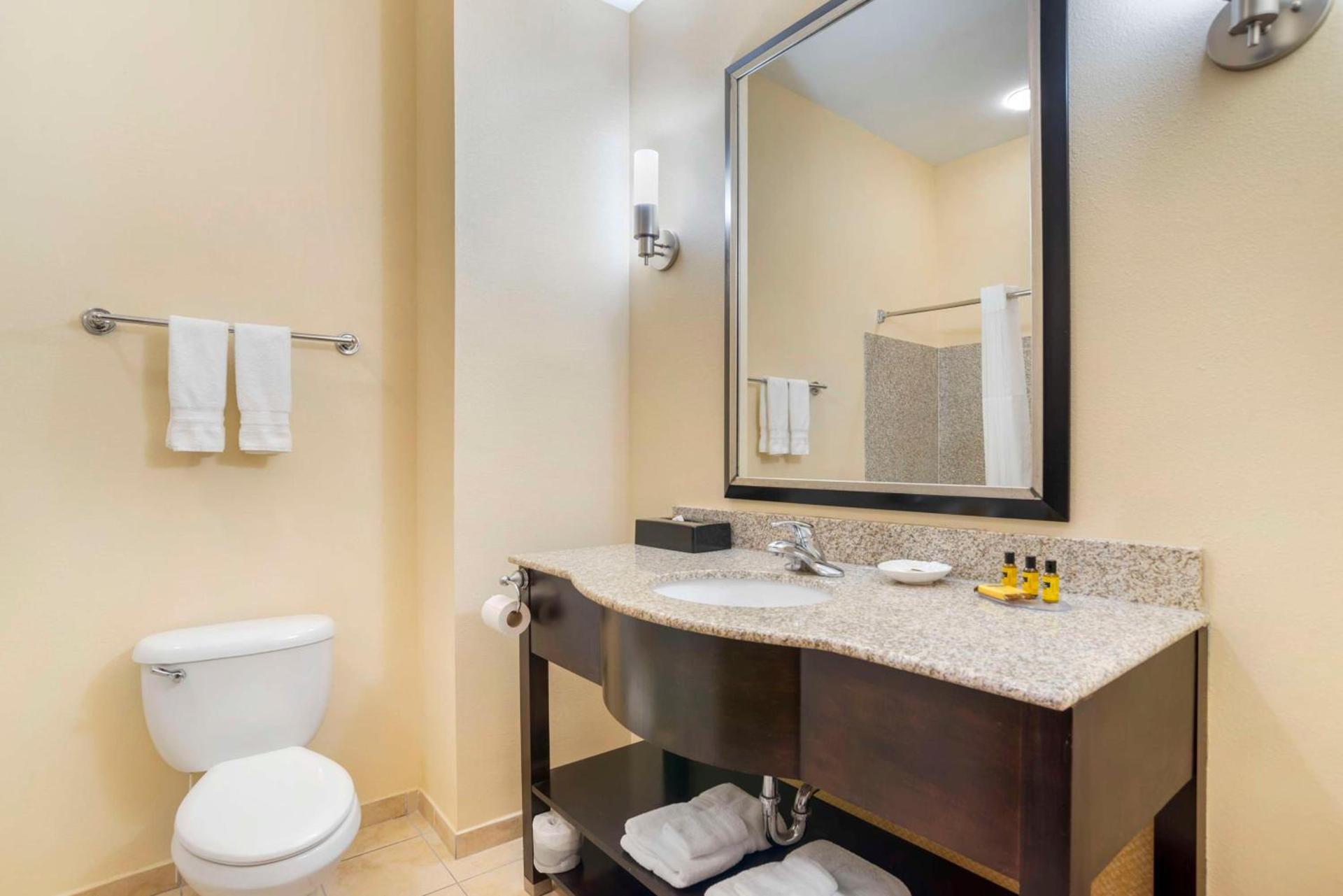 Best Western Plus Flowood Inn & Suites photo 30