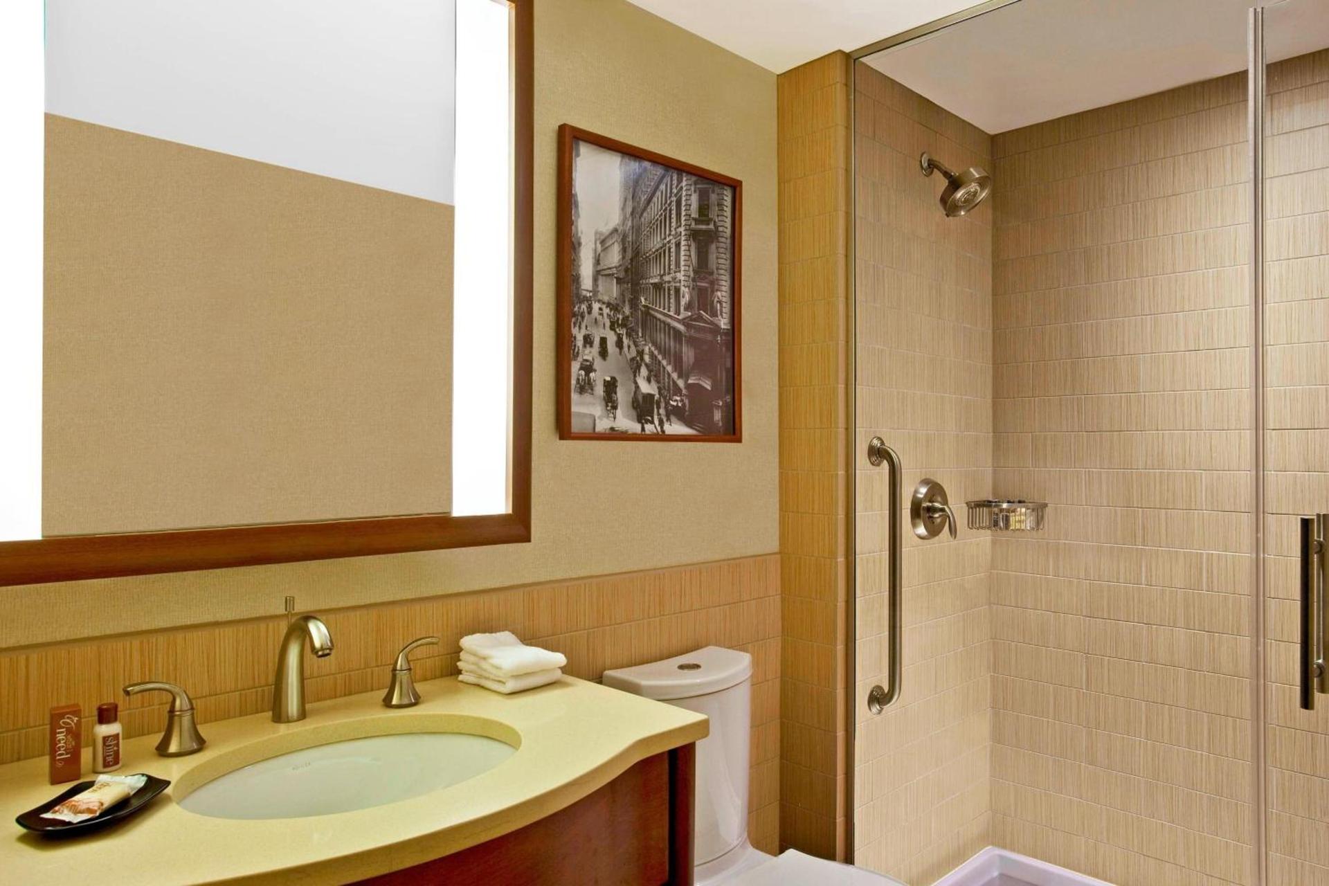 Sheraton Tribeca New York Hotel photo 31