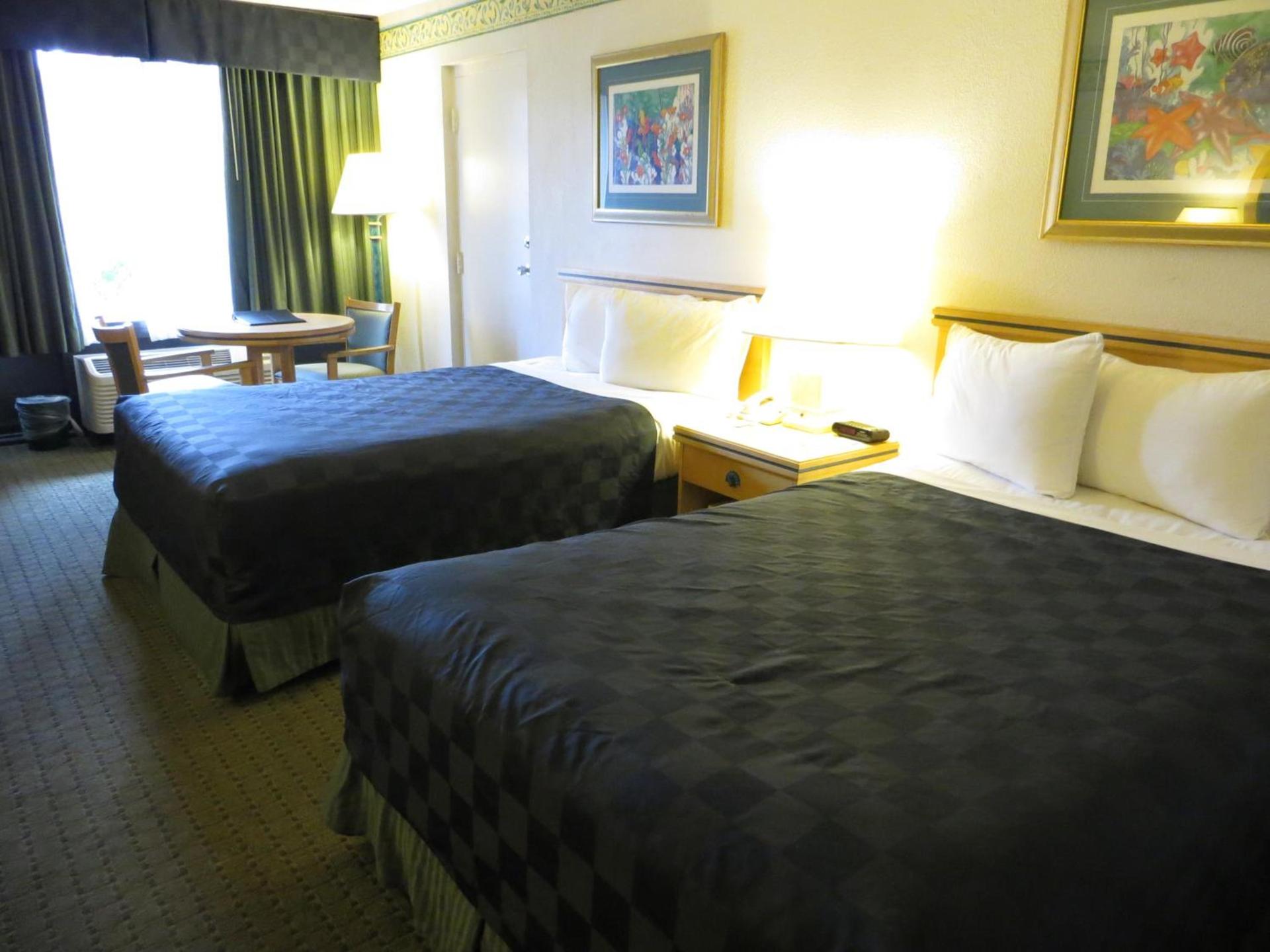 Maingate Lakeside Resort photo 3
