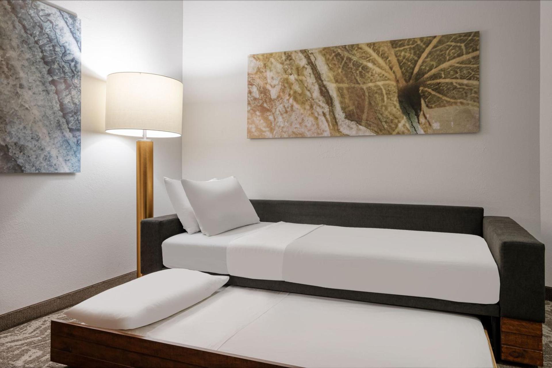 SpringHill Suites Terre Haute photo 12