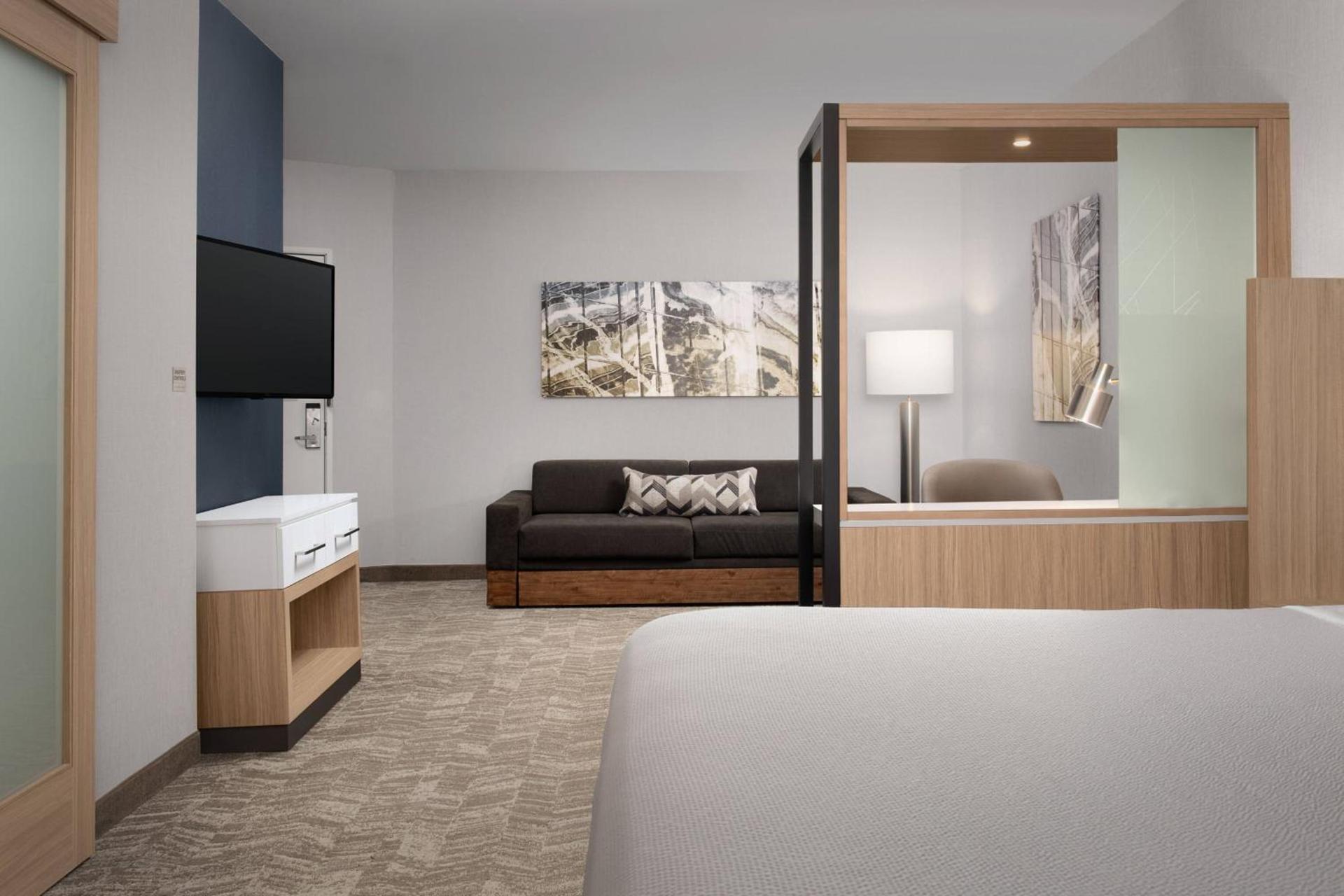 SpringHill Suites By Marriott Charleston Airport & Convention Center photo 61