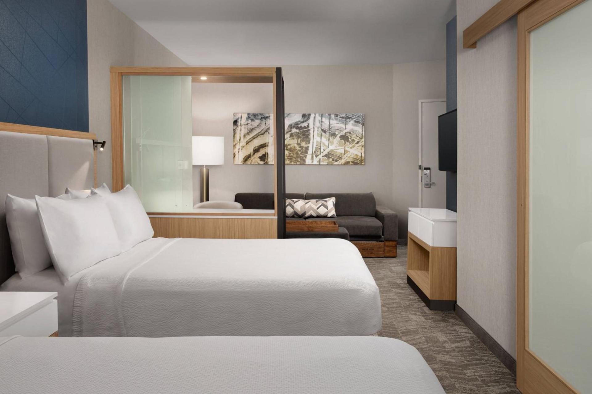 SpringHill Suites By Marriott Charleston Airport & Convention Center photo 67