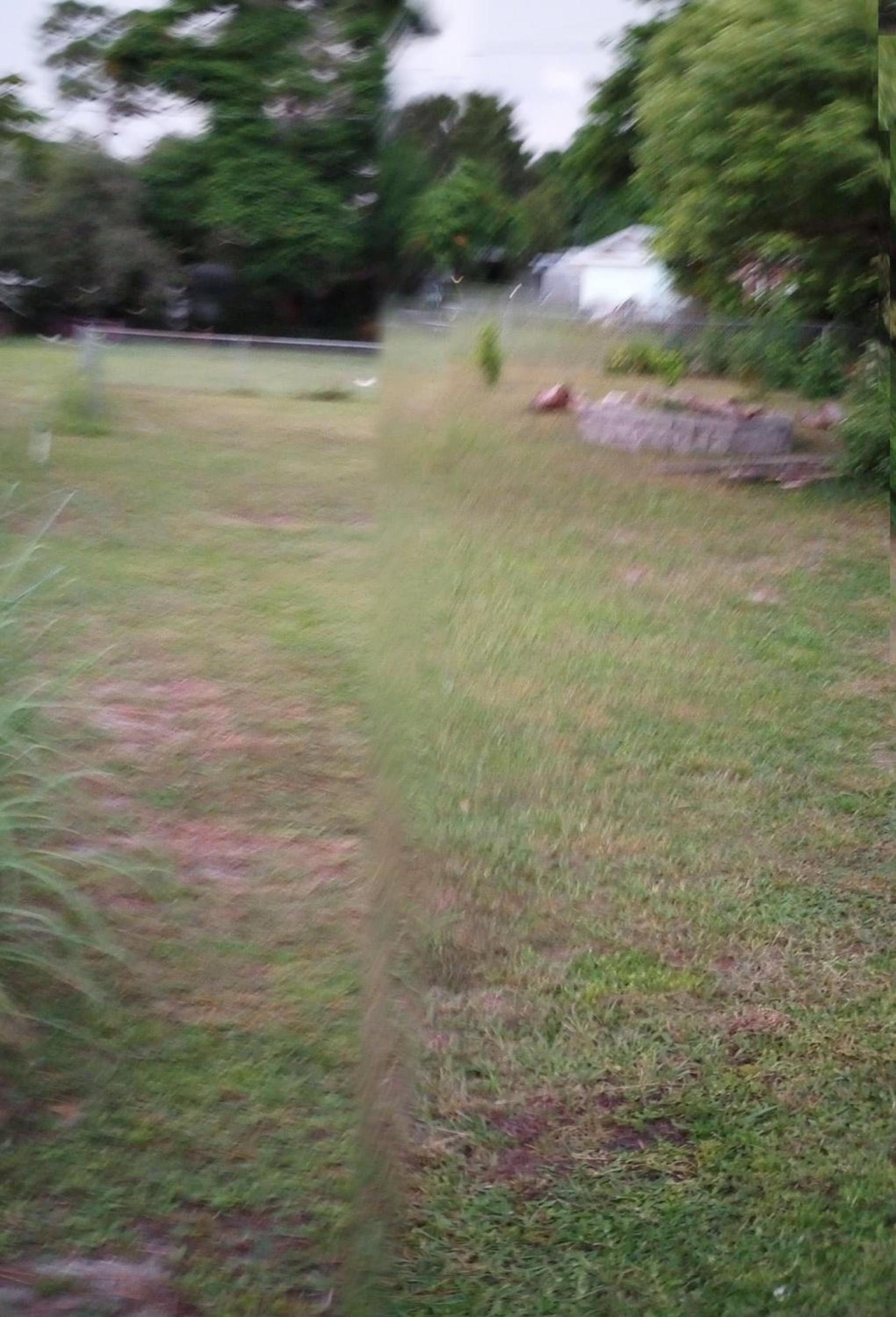Happy Rest Stop House photo 5