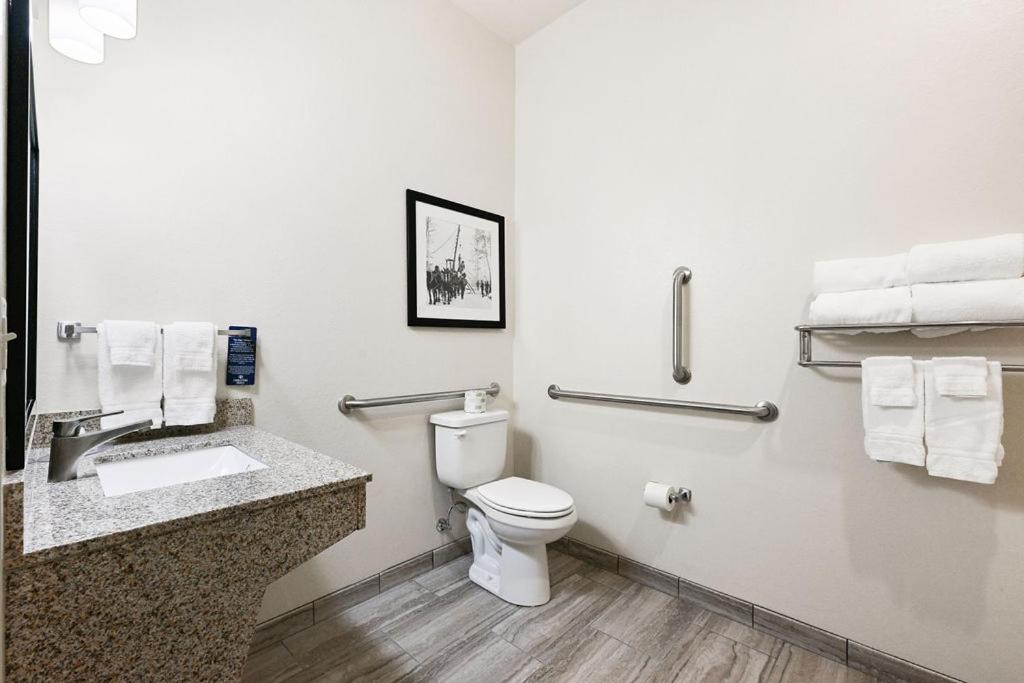 Cobblestone Hotel & Suites - Mosinee photo 59
