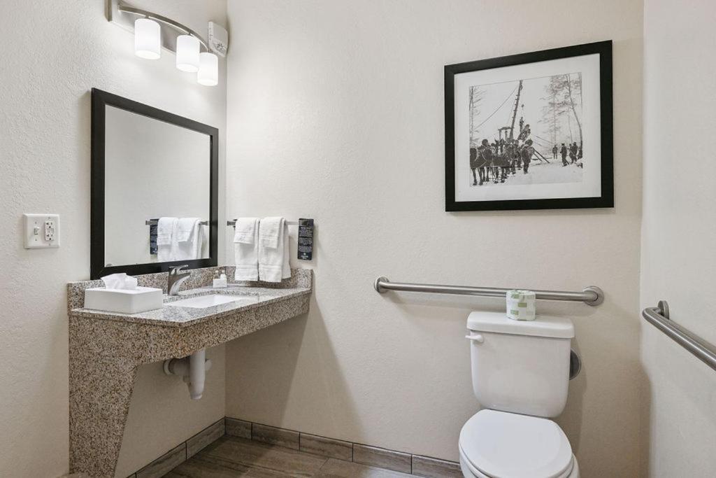 Cobblestone Hotel & Suites - Mosinee photo 60