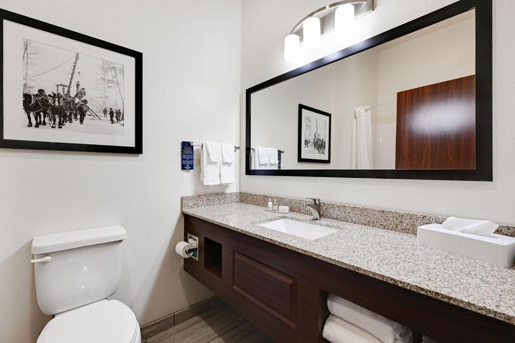 Cobblestone Hotel & Suites - Mosinee photo 64