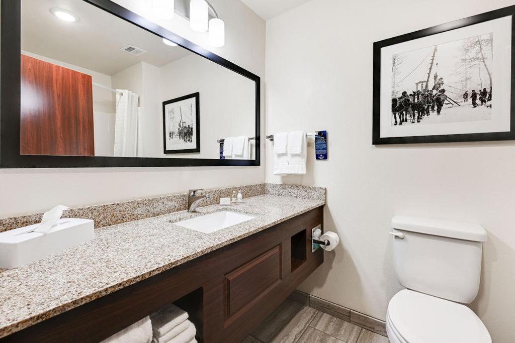 Cobblestone Hotel & Suites - Mosinee photo 65