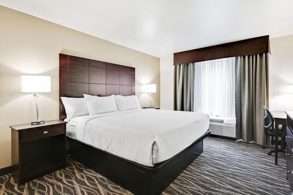 Cobblestone Hotel & Suites - Mosinee photo 84