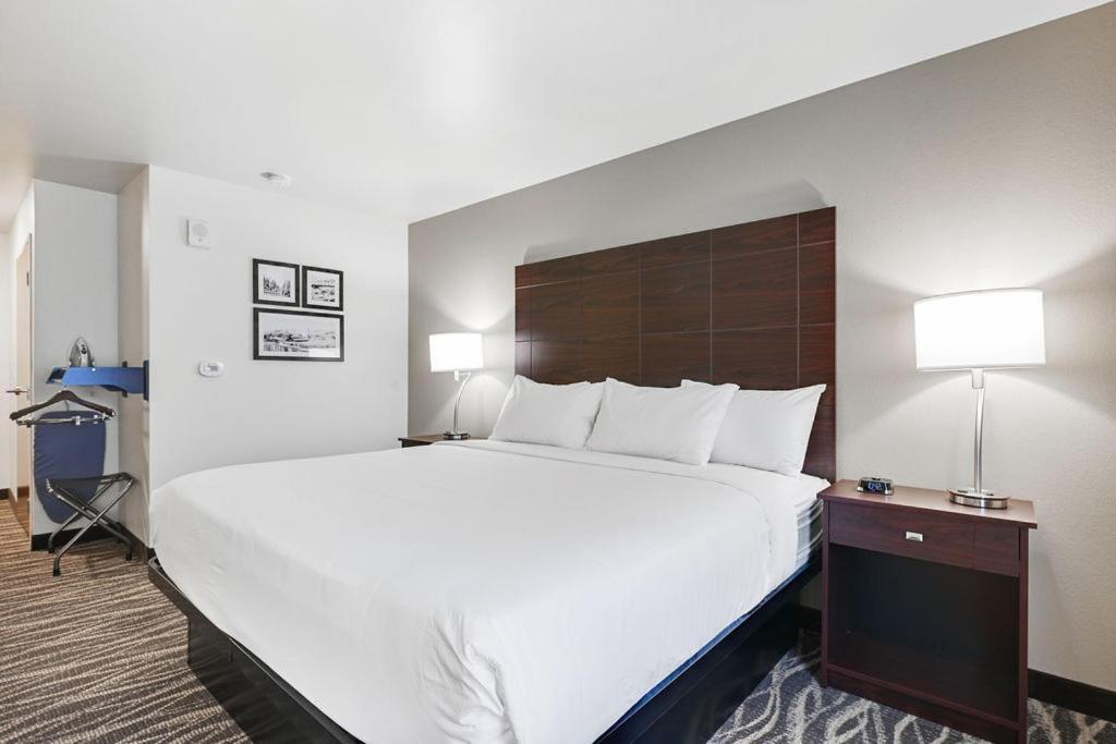 Cobblestone Hotel & Suites - Mosinee photo 86